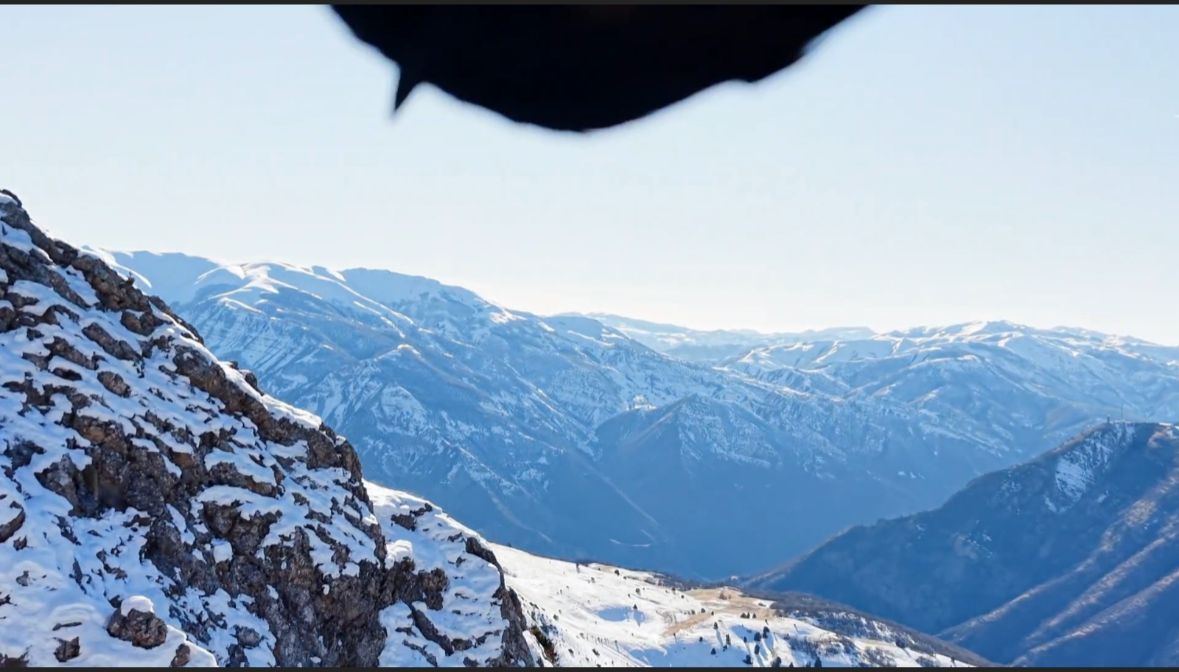 K A R T A L I N K A P T I G I D R O N 6 S A A T L I K T I R M A N I S 1077017 319551