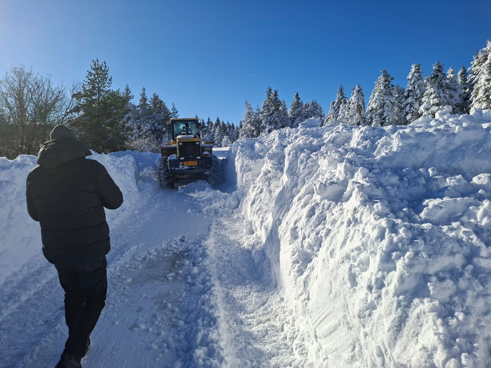 K A S T A M O N U D A K A R K A L I N L I G I 2 M E T R E Y E Y A K 1087589 322833