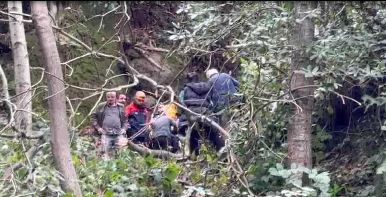 K E S T I G I A G A C I N C A R P M A S I S O N U C U Y A R A L A N D I 1051033 311898