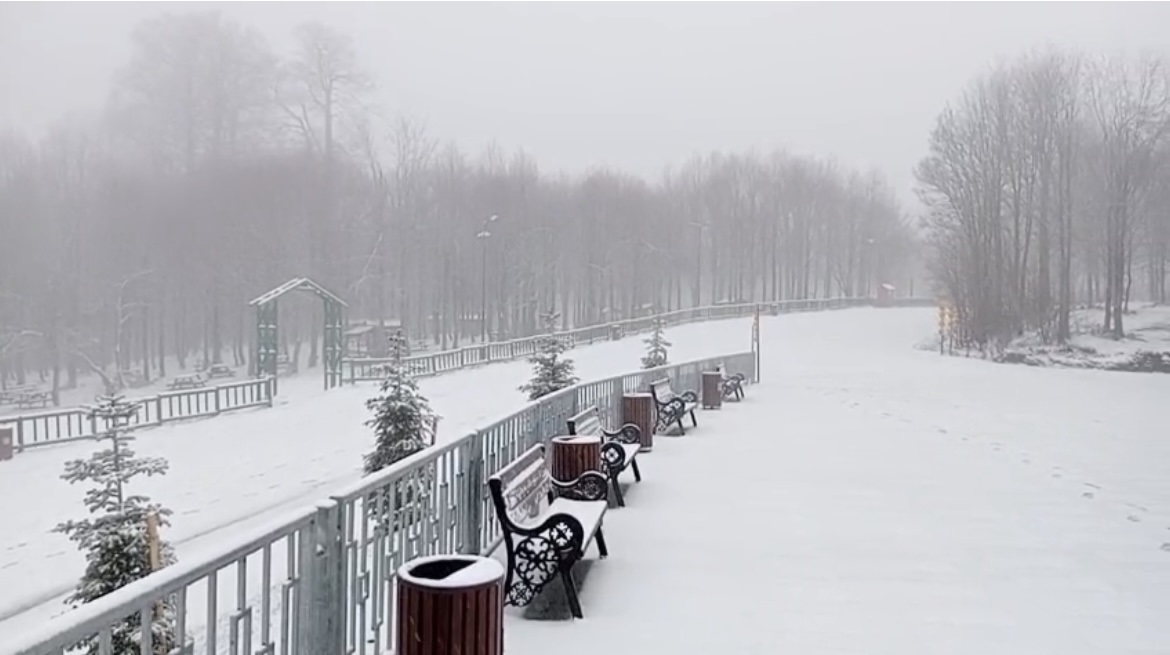 K U Z U Y A Y L A T A B I A T P A R K I B E Y A Z A B U R U N D U 1063930 315697