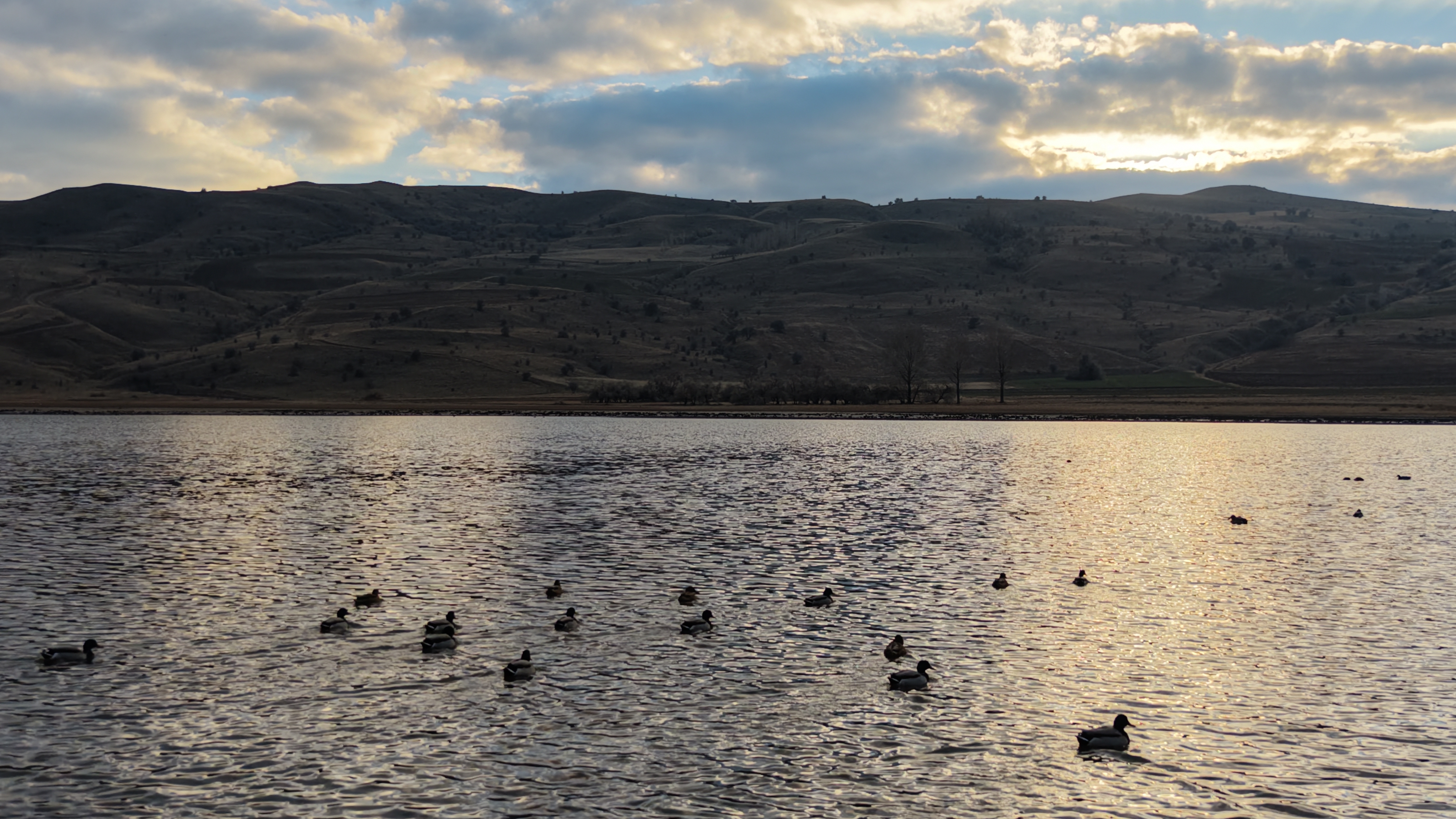 Kuruyunca Kuslarin Da Terk Ettigi Gol Y 1060923 314854 (1)