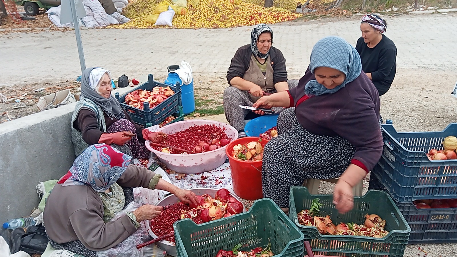 M E R S I N D E K A D I N L A R I N N A R E K S I S I M E S A I S I 1085462 303435