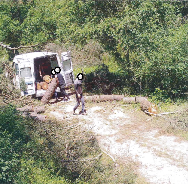 O G M D E N K A C A K K E S I M L E R E K A R S I 724 K O R U M 1069314 317296