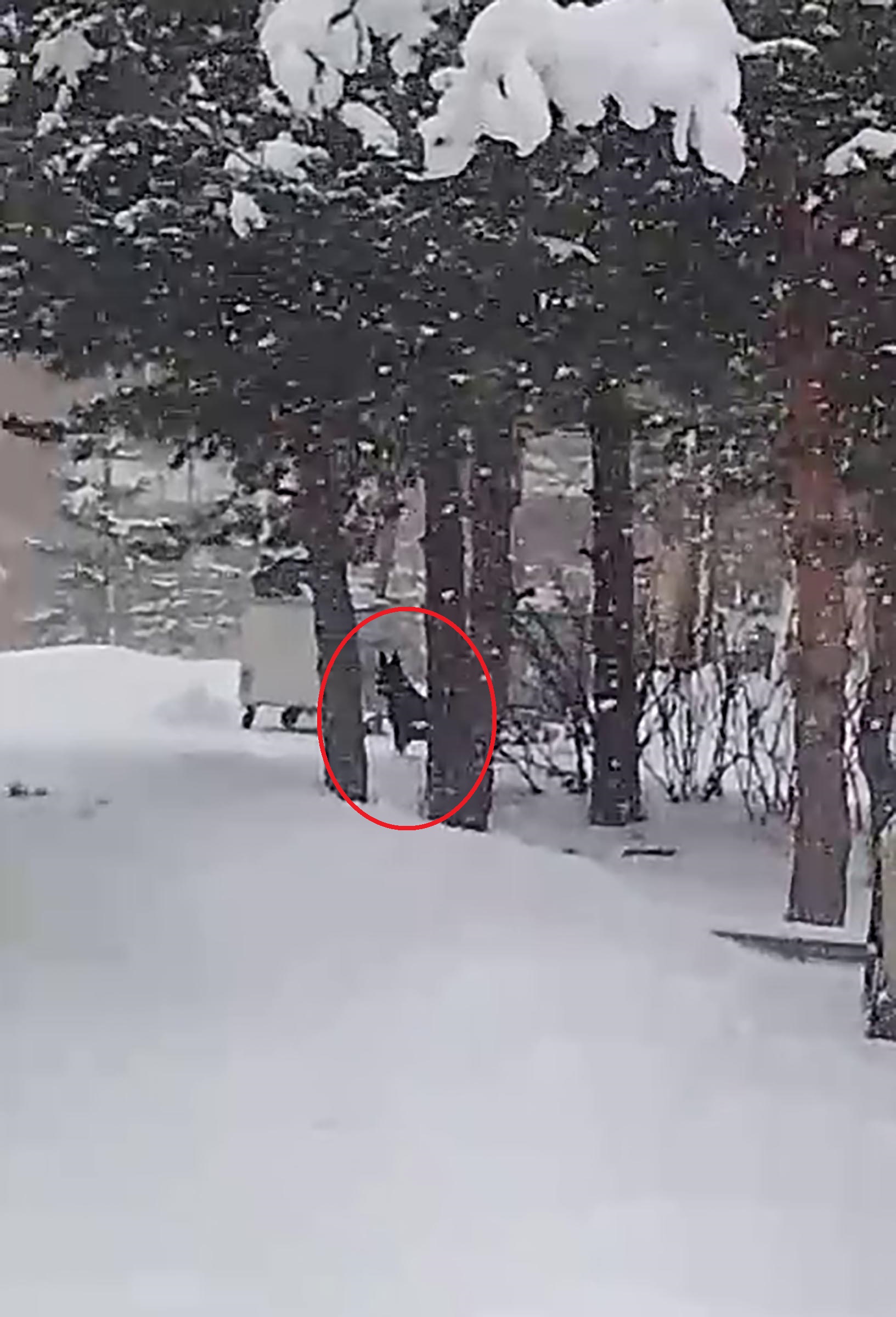 O K U L B A H C E S I N E G I R E N K U R T K O P E G I O G R E N C I 1090443 323697