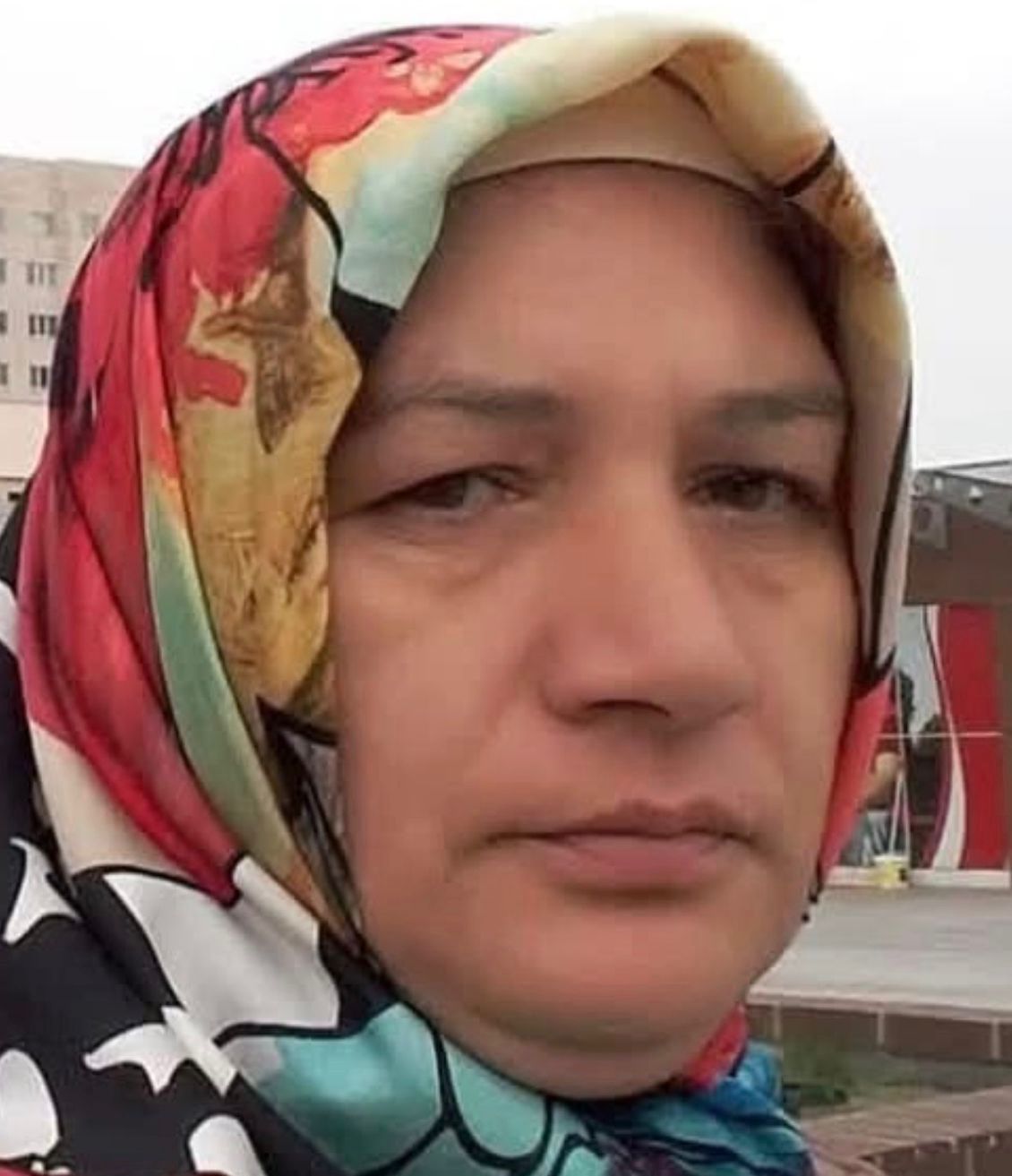 O T O M O B I L L E C A R P I S A N 3 T E K E R L E K L I M O T O S I K 1052410 312260