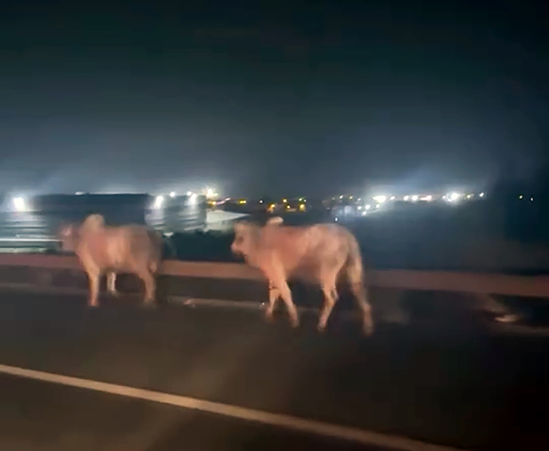 O T O Y O L D A D E V R I L I P Y A N A N T I R’ D A K I 2 K I S I 1068418 317035