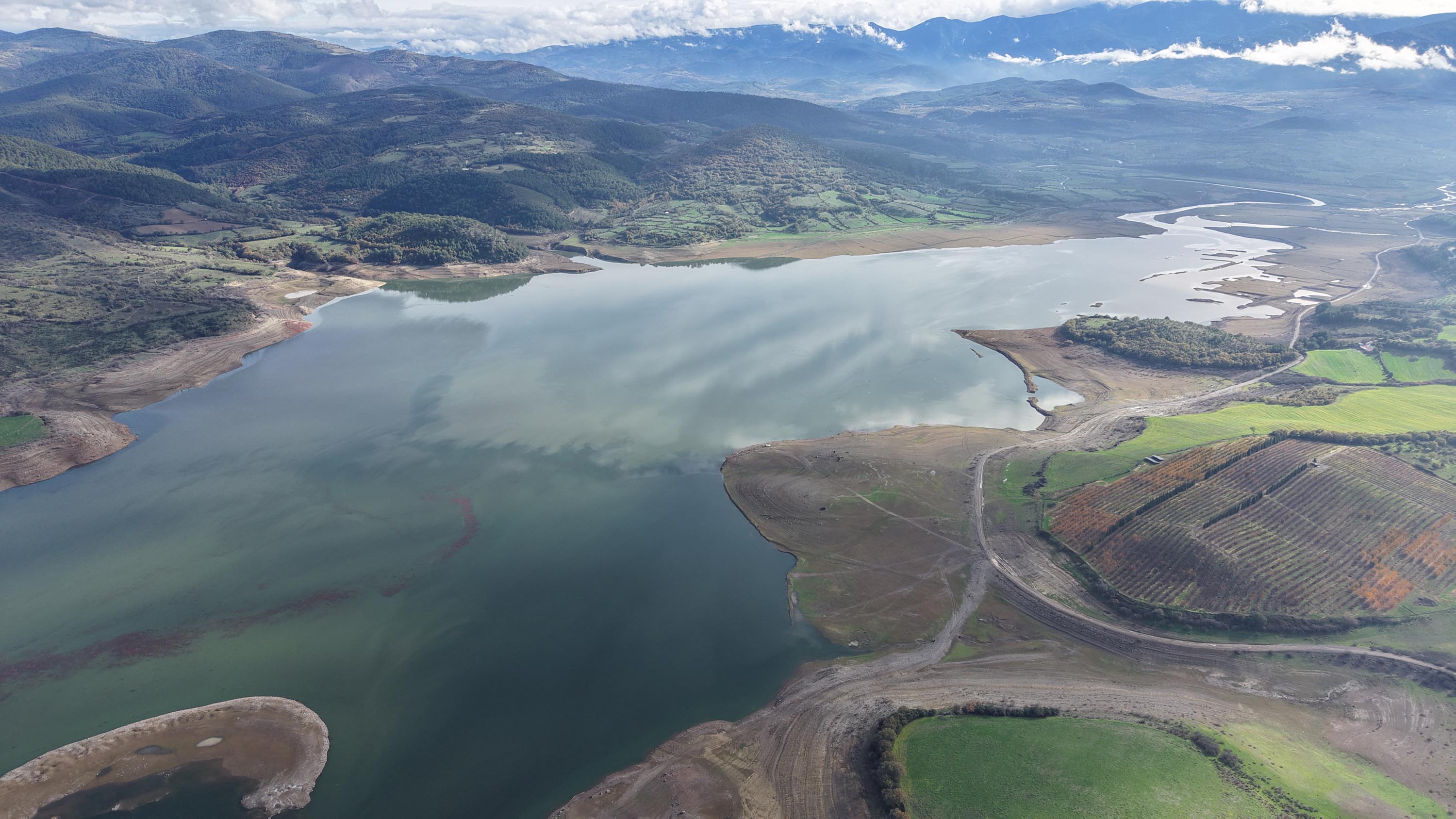 P R O F. D R. T U R K E S K E N T L E R I N S U B U T C E L E R I 1055850 313344