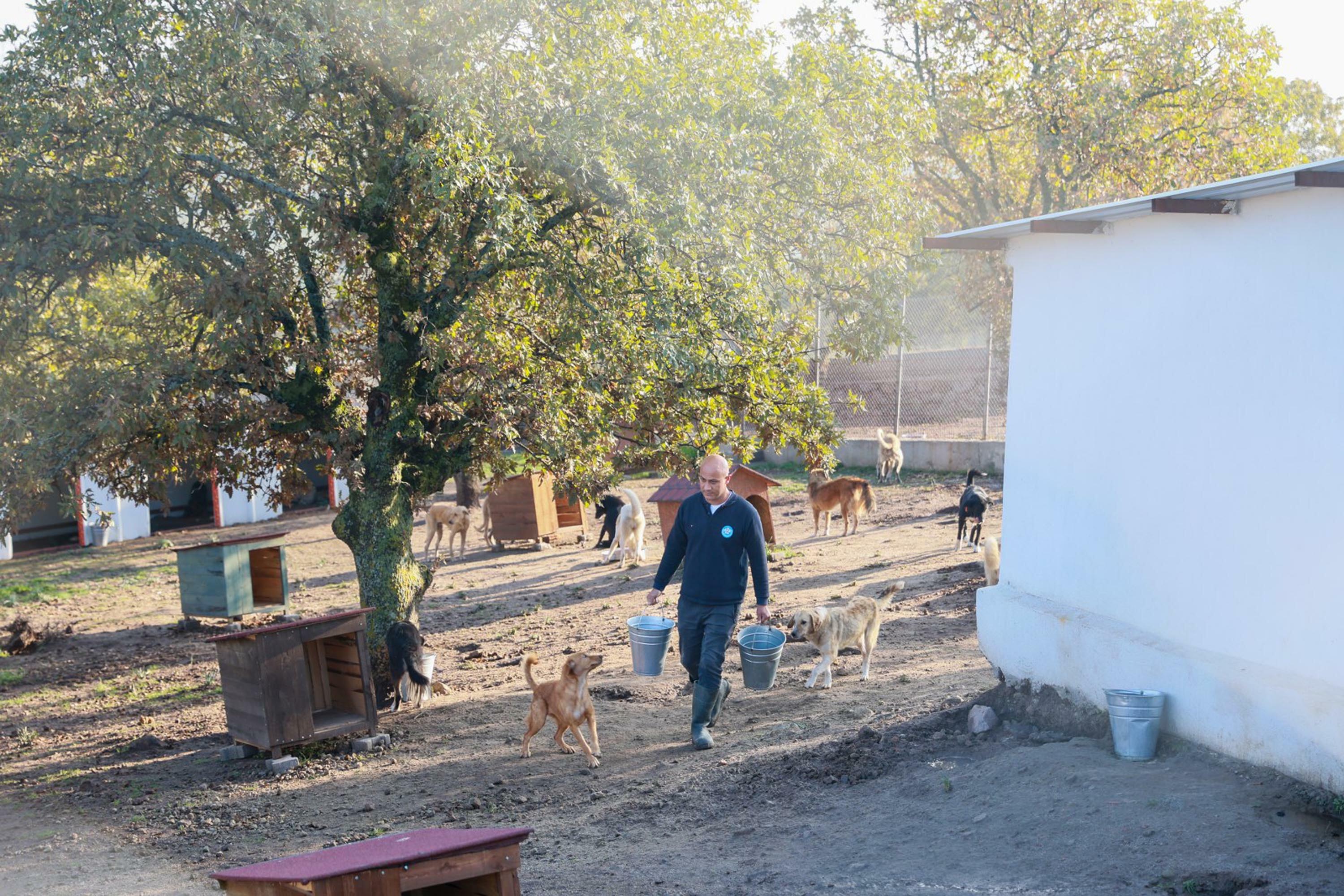 S A H I P L E N D I G I 2 K O P E G I S O K A G A T E R K E D E N K 1059328 314386