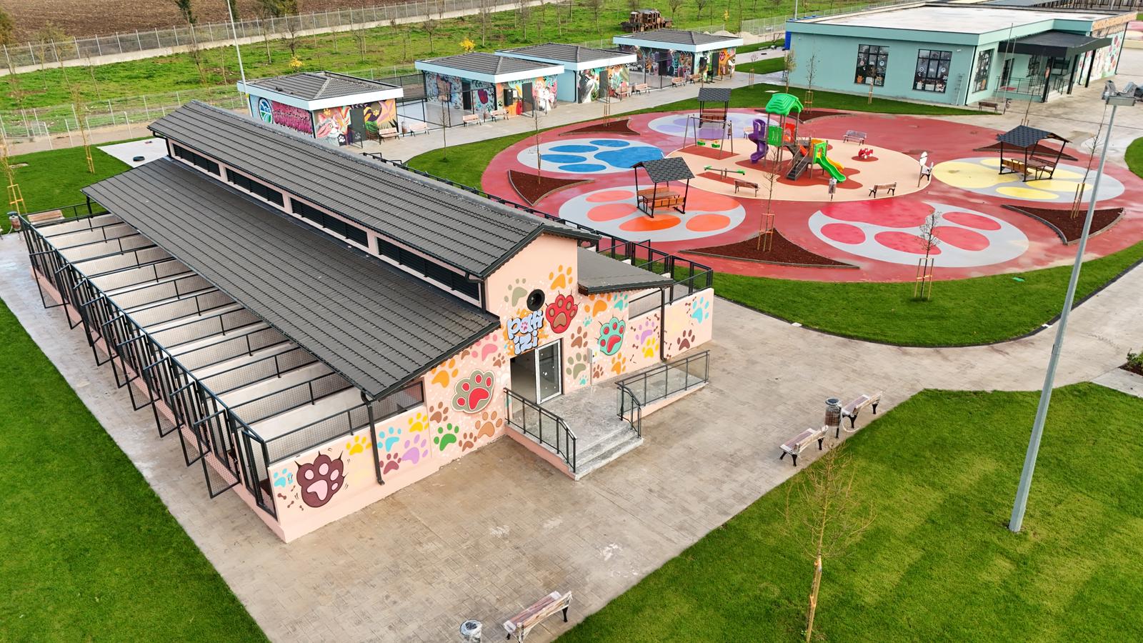 S A K A R Y A’ D A S O K A K H A Y V A N L A R I D O G A L Y A S A M 1044004 309823