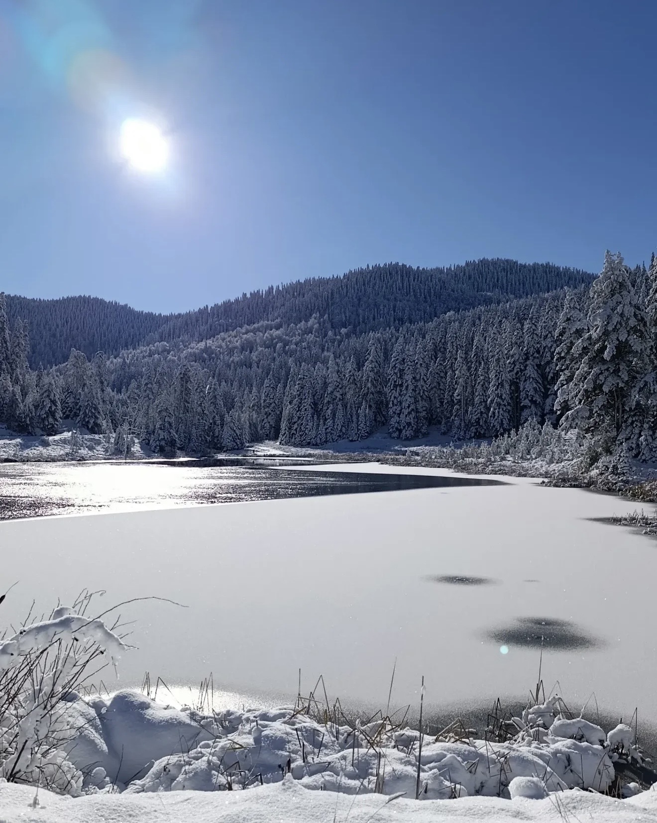 S A R I C I C E K G O L E T I B U Z T U T T U 1068603 317081