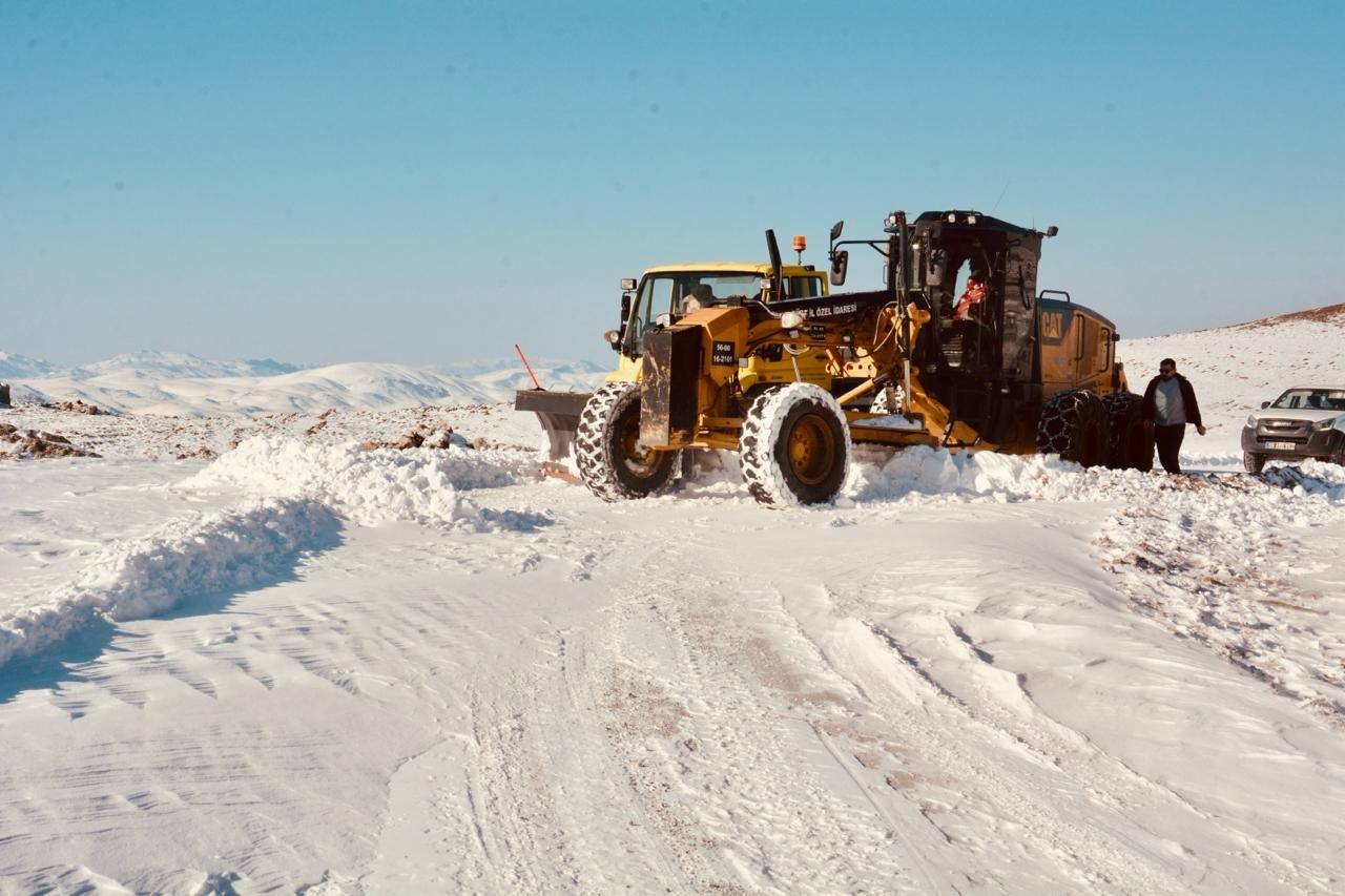 S I I R T T E K A R L A M U C A D E L E 1068965 317194