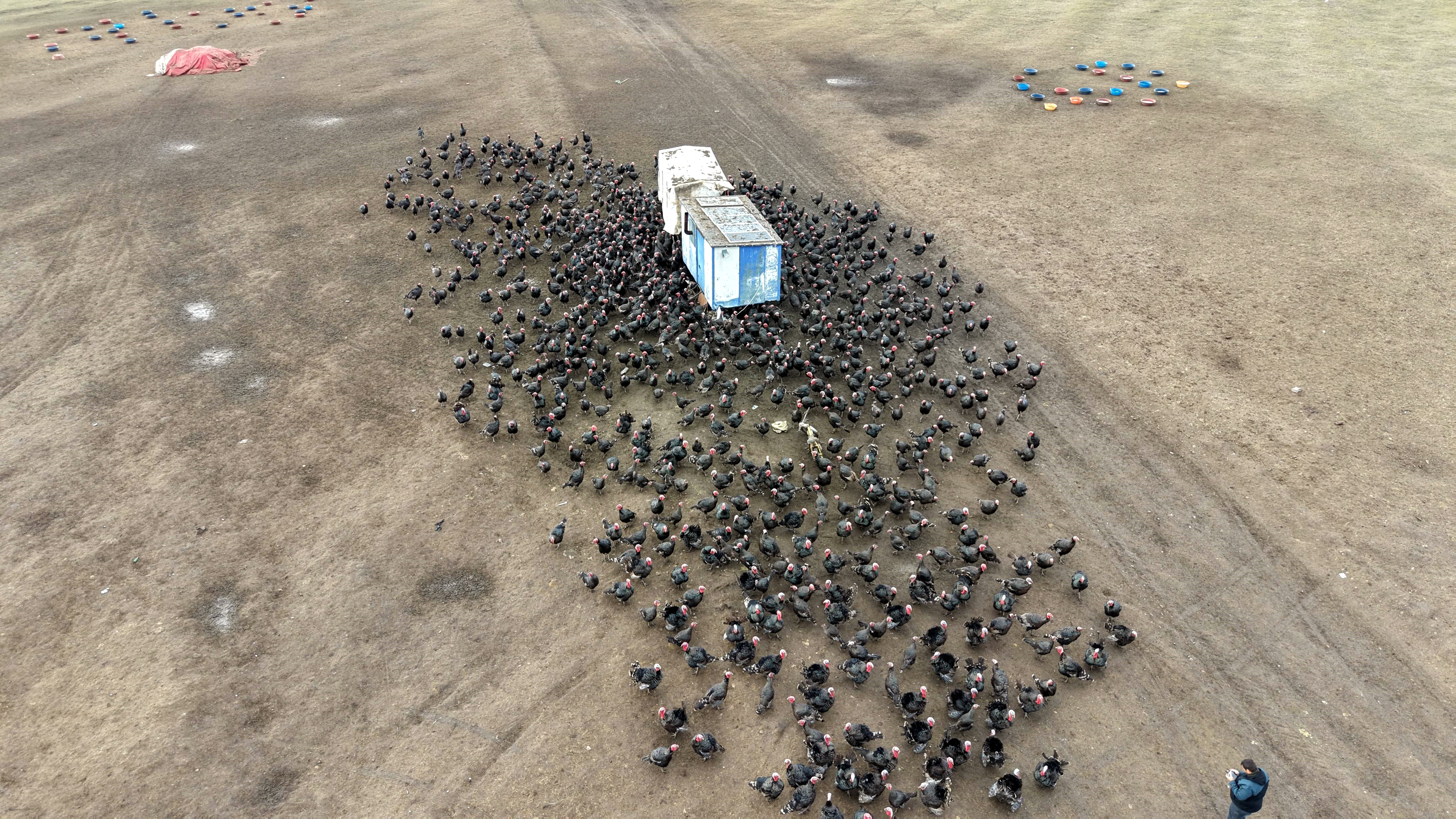 T E K I R D A G D A Y I L B A S I O N C E S I H I N D I S A T I S L A 1084678 321938