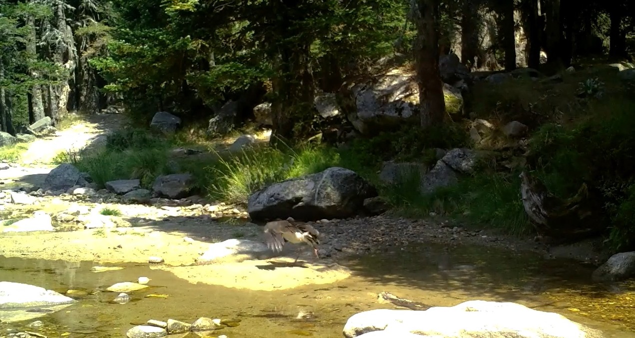 T U R K I Y E D E N A D I R G O R U L E N K A R A L E Y L E K F O T O 1069264 317273