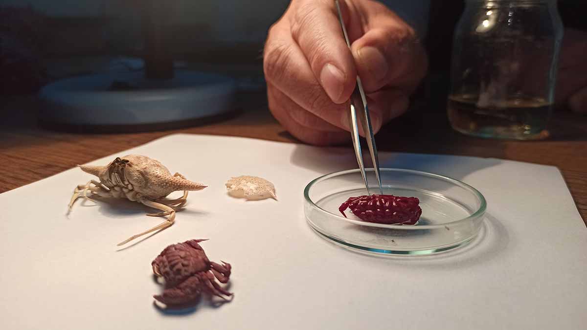 T U R K I Y E K I Y I L A R I N D A I L K K E Z H I N T P A S I F I K 1064564 315875