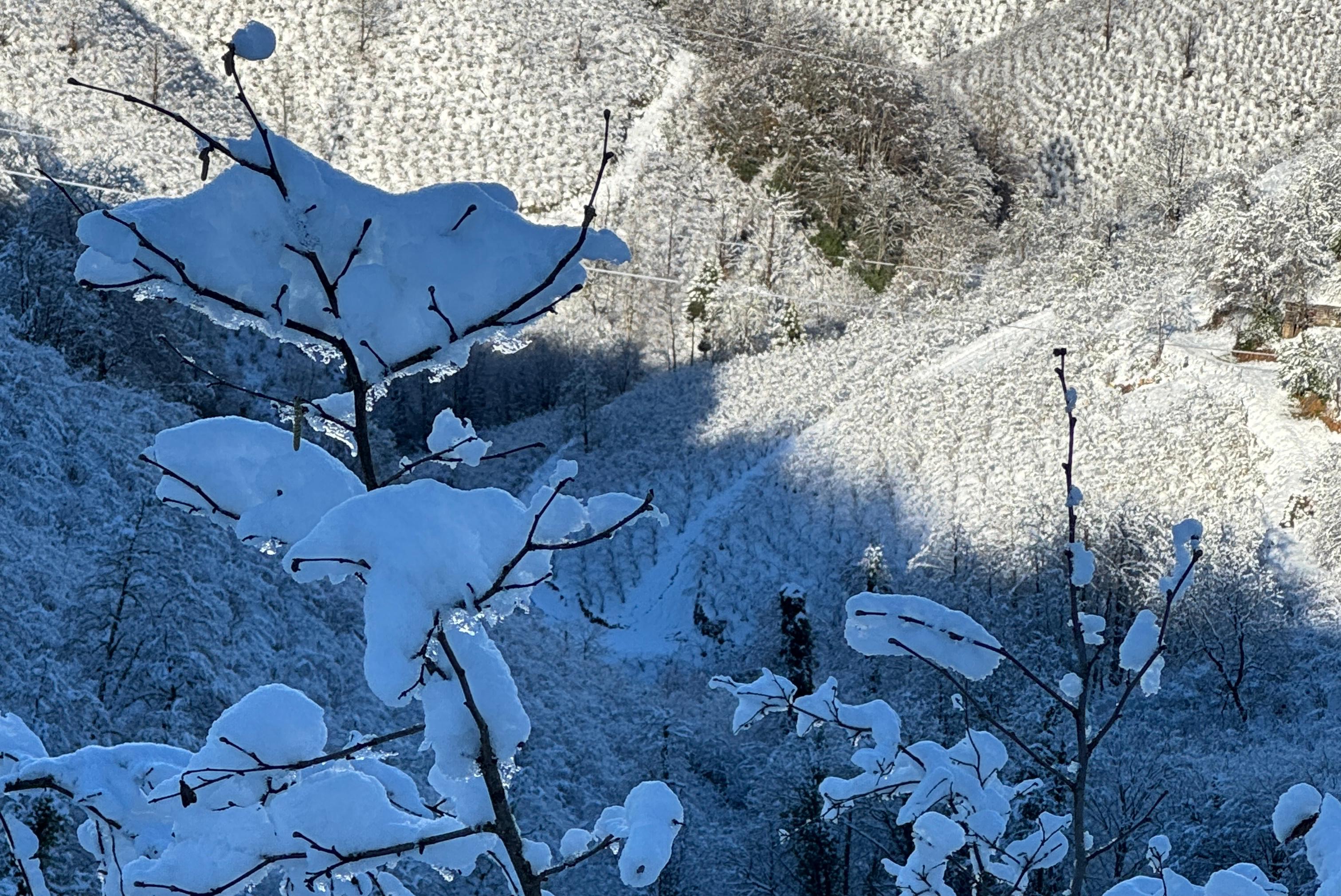 ‘ Y U K S E K K E S I M L E R D E K I K A R Y A G I S I F I N D I G 1074677 318895