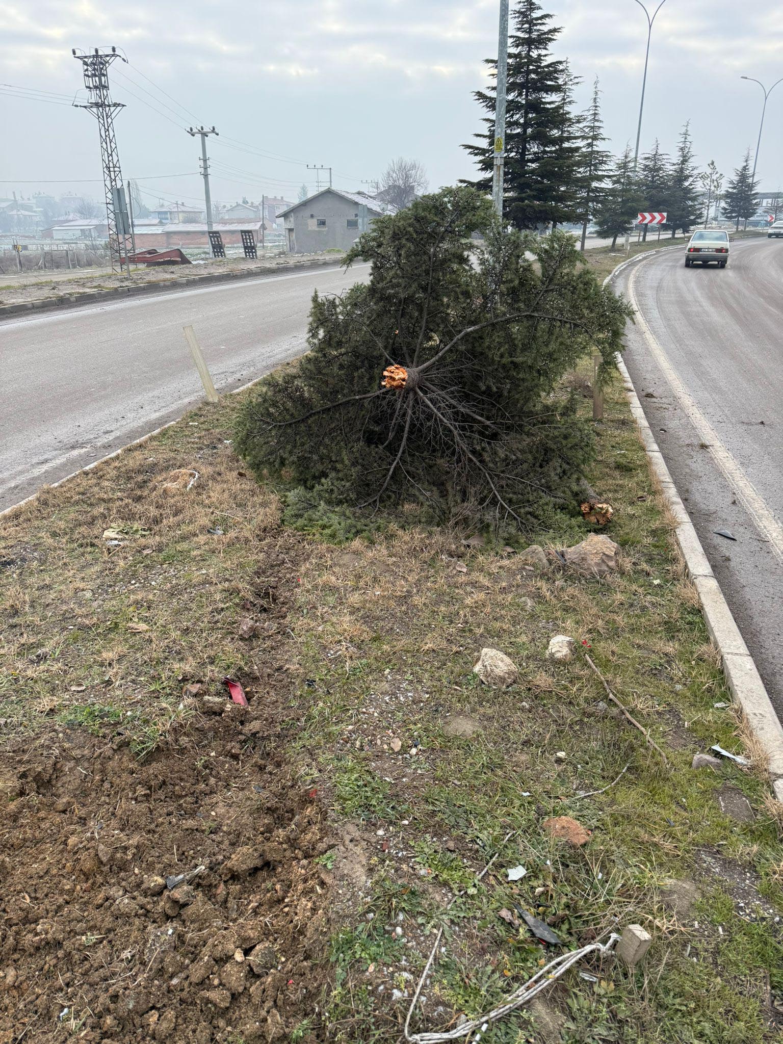 A G A C A C A R P I P T A K L A A T A N O T O M O B I L I N S U R U C 1116835 331598