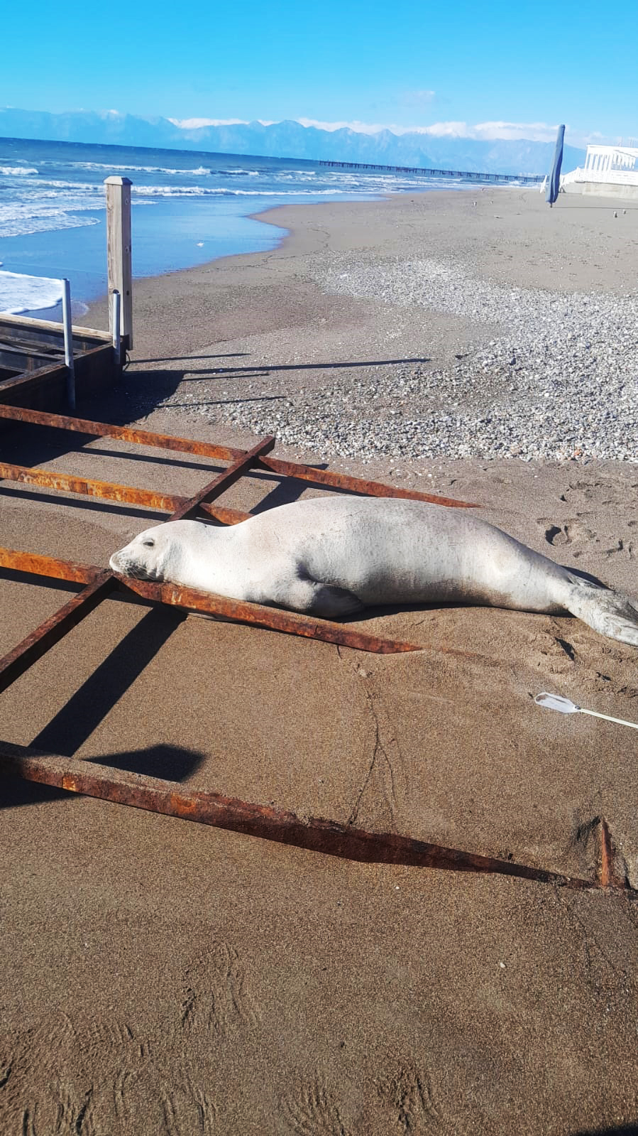 A K D E N I Z F O K U S A H I L D E G O R U L D U 1114183 330764