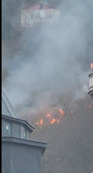 A N I Z Y A N G I N I N D A D U M A N D A N E T K I L E N I P O L D U 1139656 338389