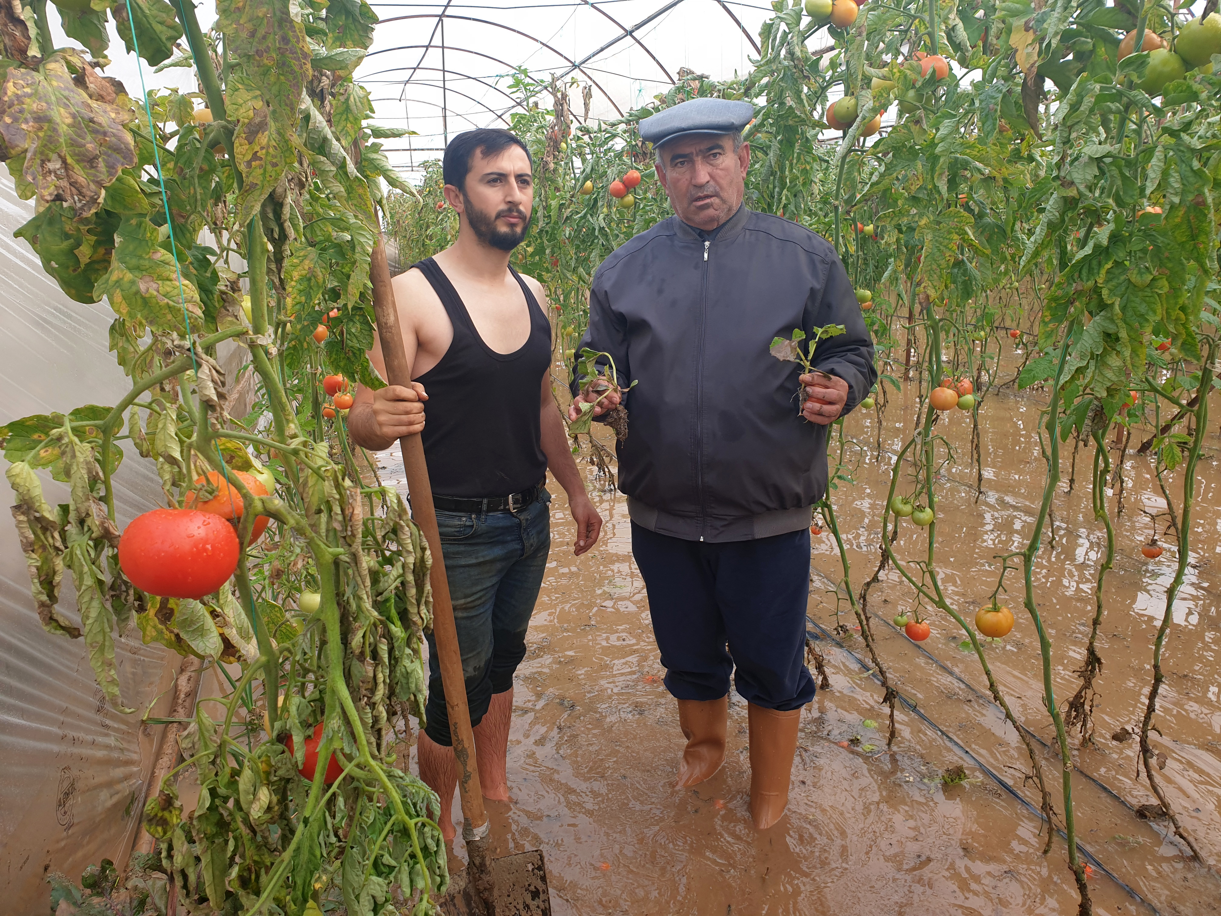 A N T A L Y A D A T A R I M A L A N L A R I N I S U B A S T I M A 1130818 335748