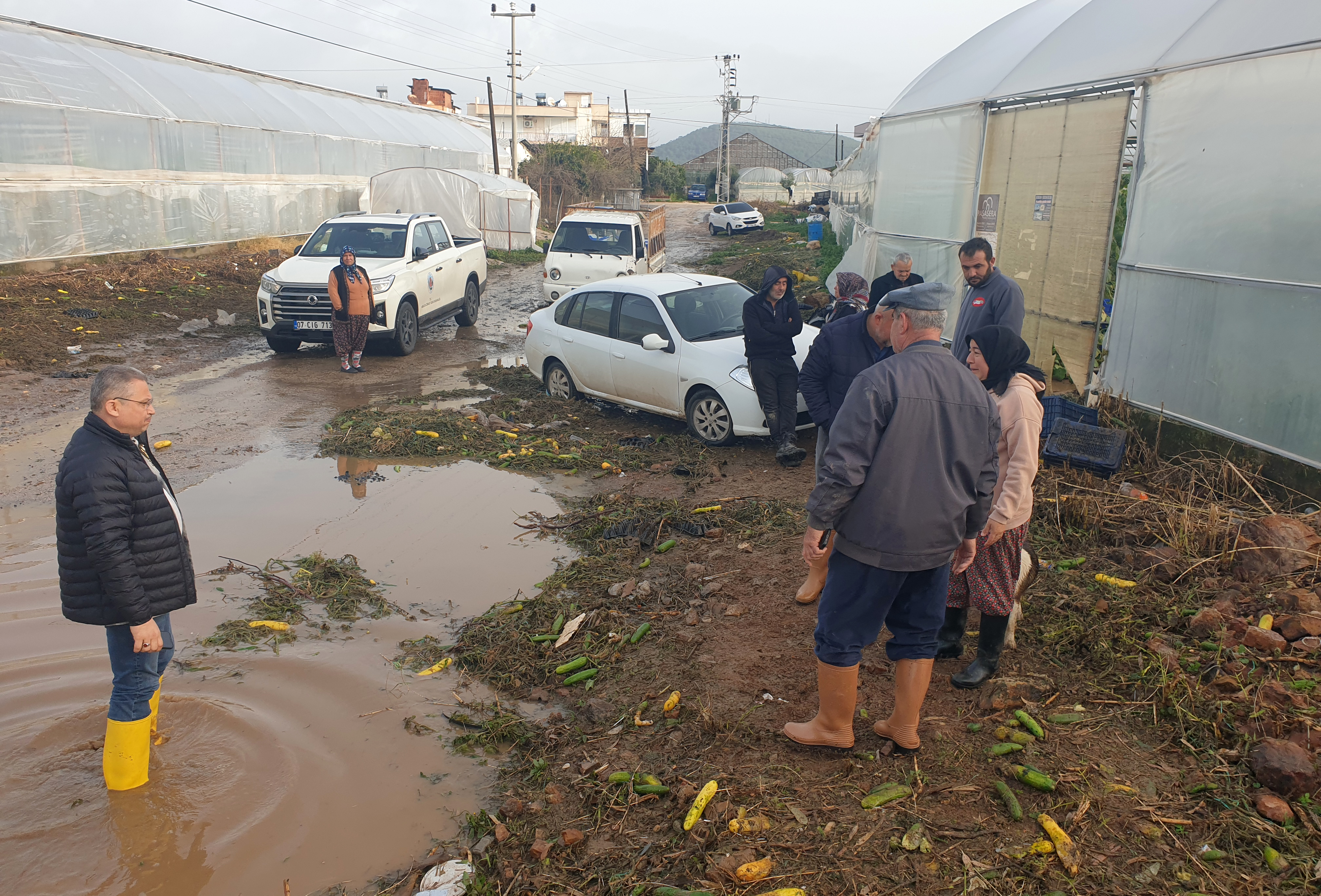 A N T A L Y A D A T A R I M A L A N L A R I N I S U B A S T I M A 1130822 335748