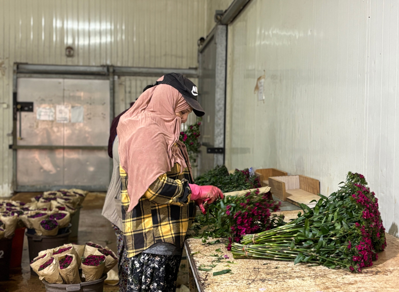 A N T A L Y A D A U R E T I L E N 850 M I L Y O N D A L C I C E G 1117580 331843