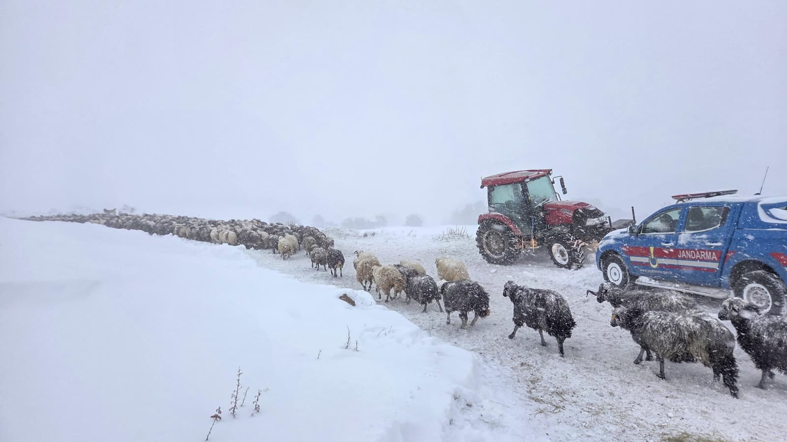 A R T V I N’ D E 1 K I S I N I N O L D U G U C I G D A K A R A L T 1091286 323980