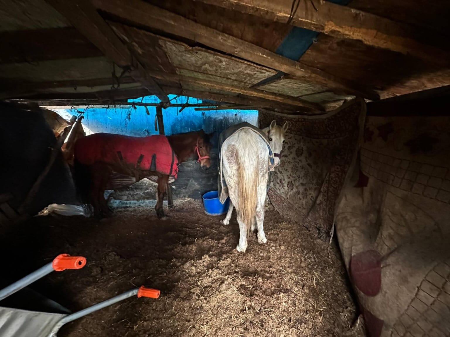 A T K E S T I K L E R I O N E S U R U L E N 2 S U P H E L I O P E 1137824 337797