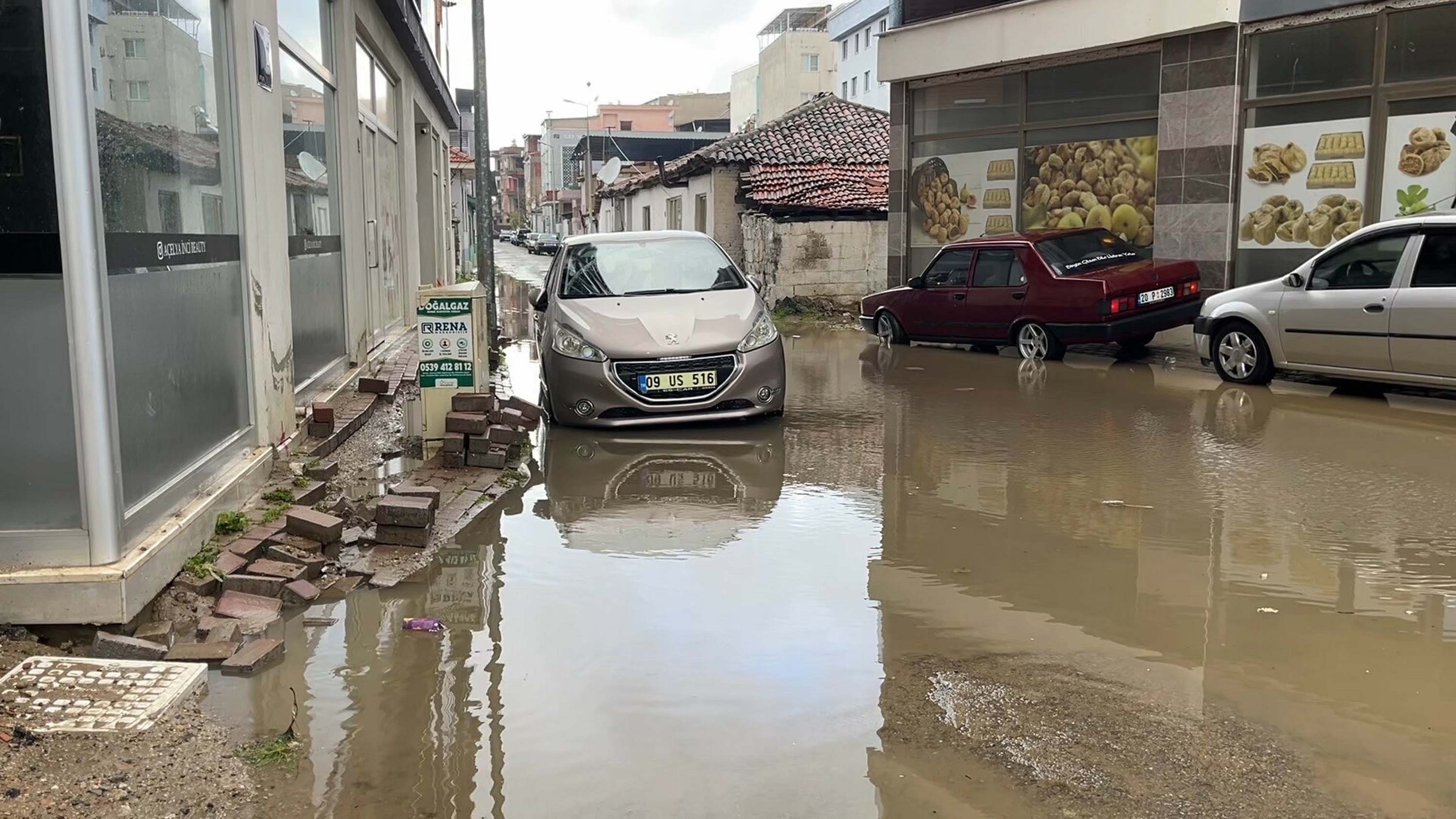 A Y D I N I N C I R L I O V A D A S A G A N A K N E D E N I Y L E Y O 1143168 339434