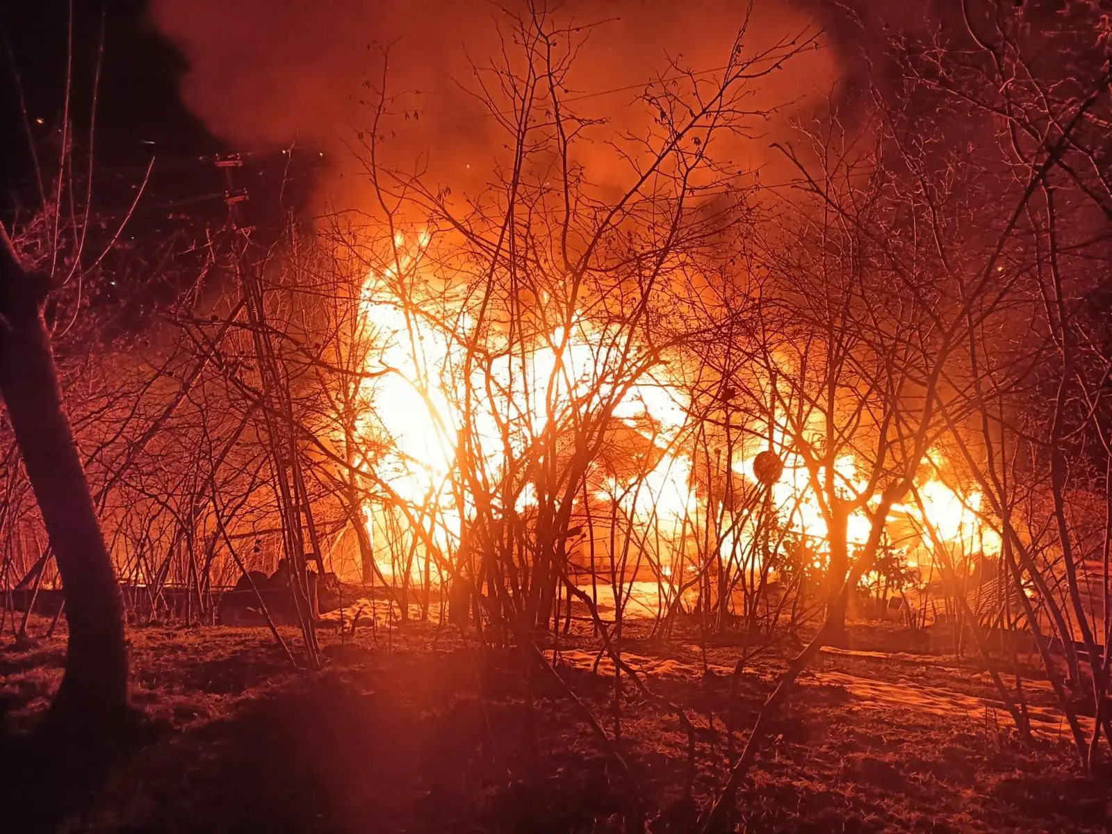 Aga Asılı Bulundu 1