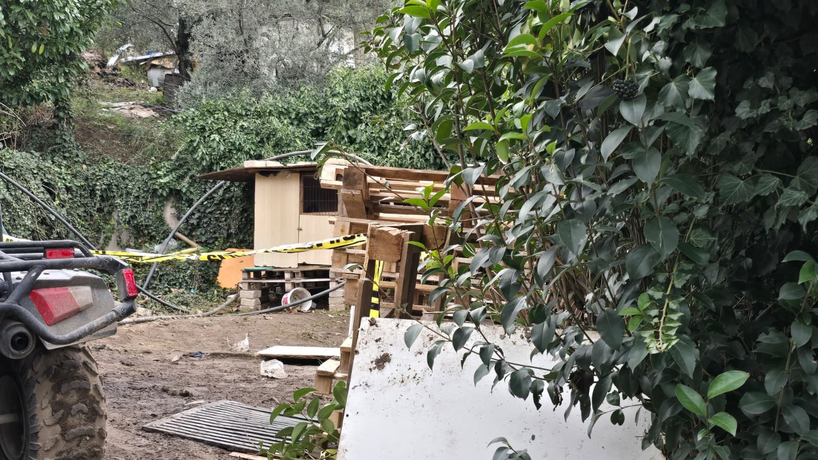 B A B A S I N I K U R T A R M A K I S T E R K E N O L E N E F E T O 1136027 337253