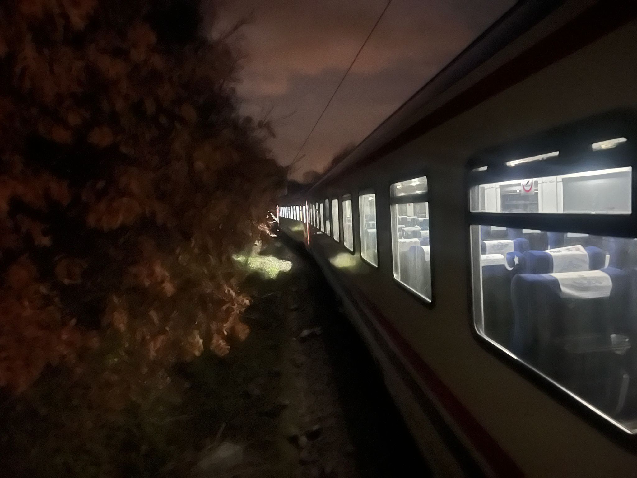 B A L I K E S I R’ D E T O P R A K K A Y D I Y O L C U T R E N I R 1139353 338298