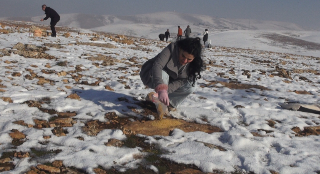 B A T M A N’ D A Y A B A N H A Y V A N L A R I I C I N D O G A Y A 1 1098701 326116