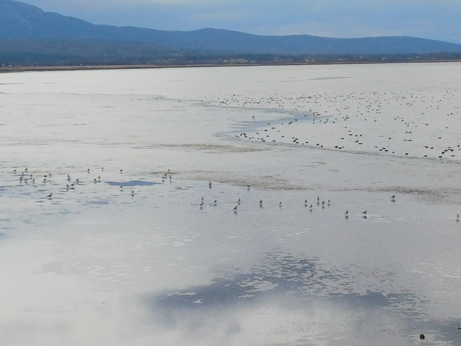 B E Y S E H I R G O L U’ N U N Y U Z E Y I B U Z T U T T U 1098523 325819