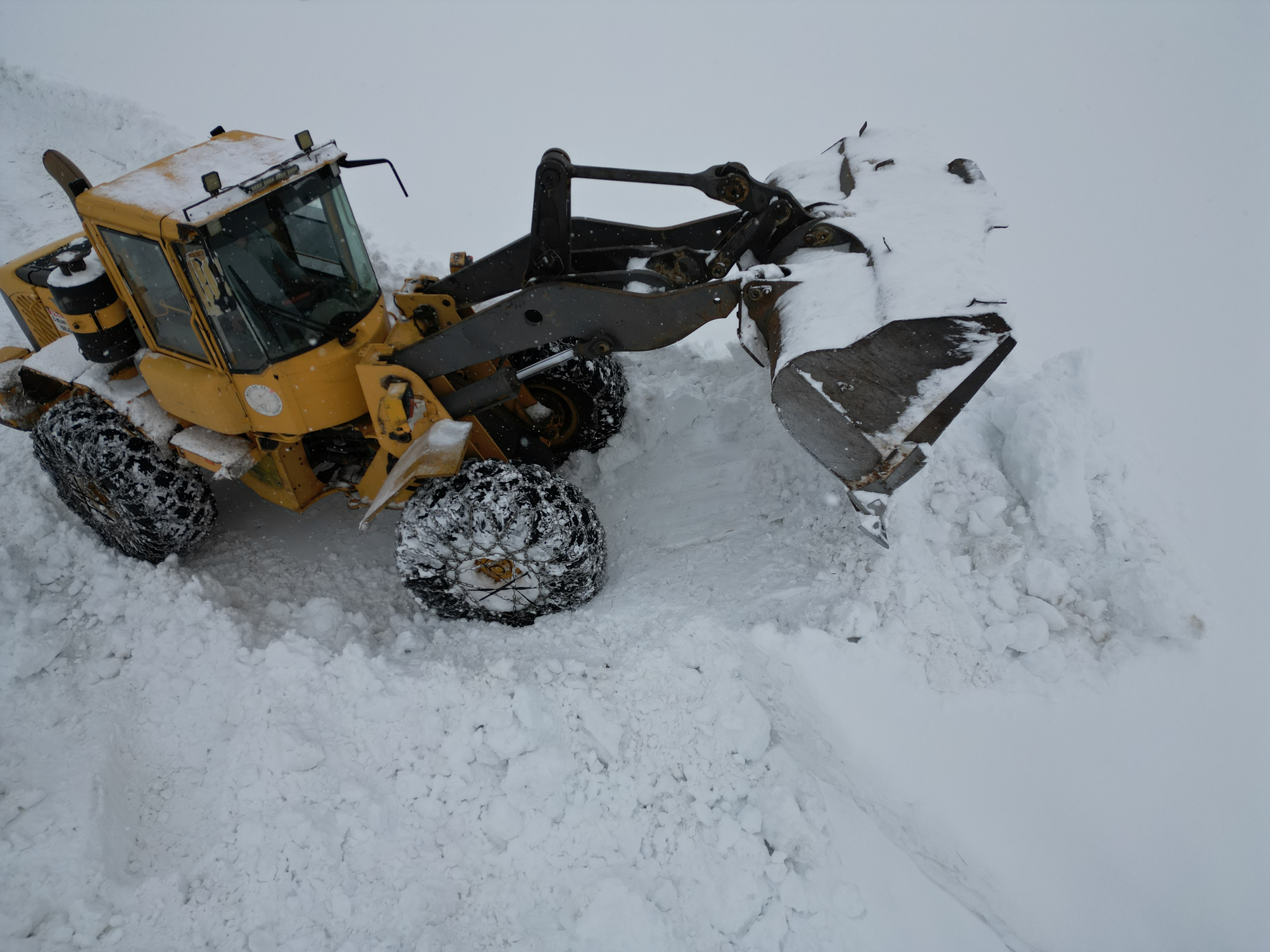 B I T L I S’ T E 139 K O Y Y O L U U L A S I M A A C I L D I 1115856 331290