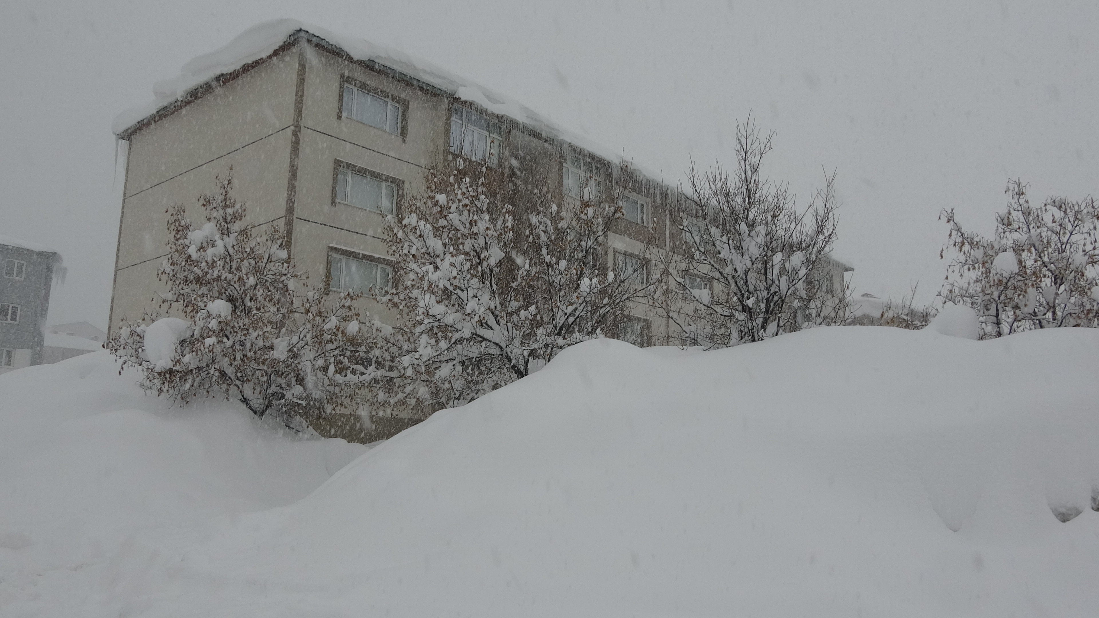 B I T L I S T E 211 K O Y V E M E Z R A Y O L U K A P A N D I 1125063 333861