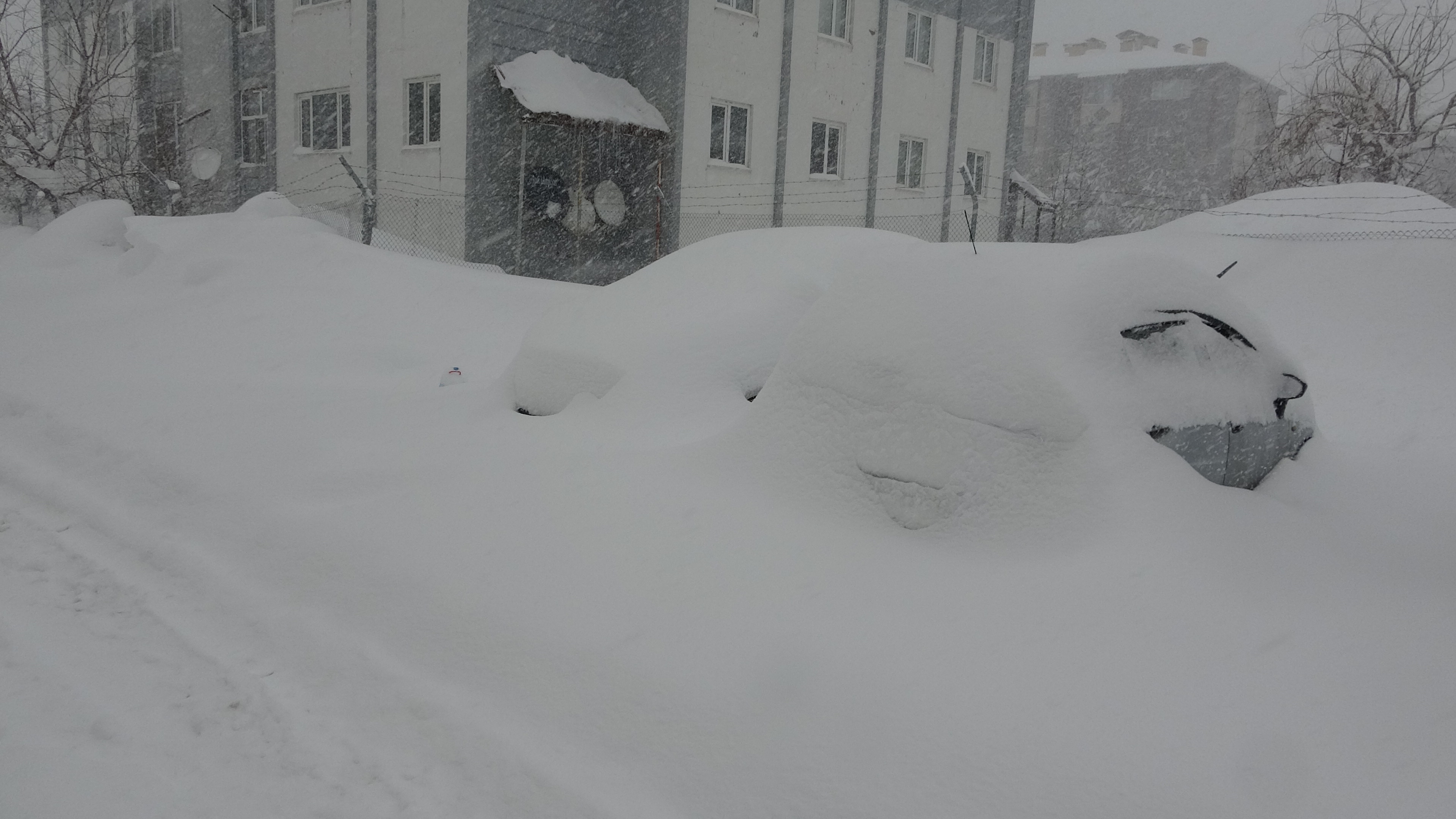 B I T L I S T E 211 K O Y V E M E Z R A Y O L U K A P A N D I 1125072 333861