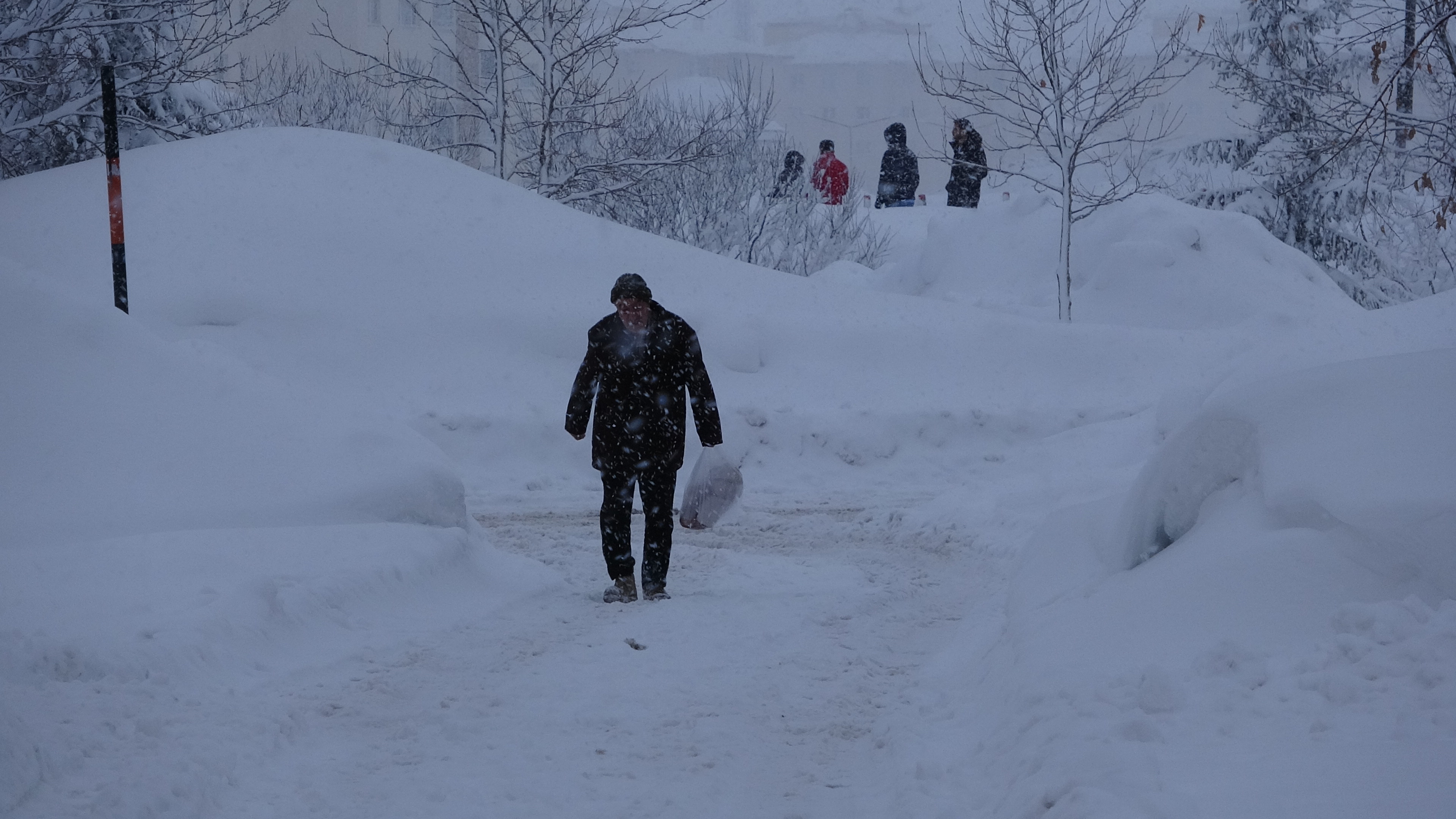 B I T L I S T E K A R D A N 229 Y E R L E S I M Y E R I N I N Y O 1114243 330788