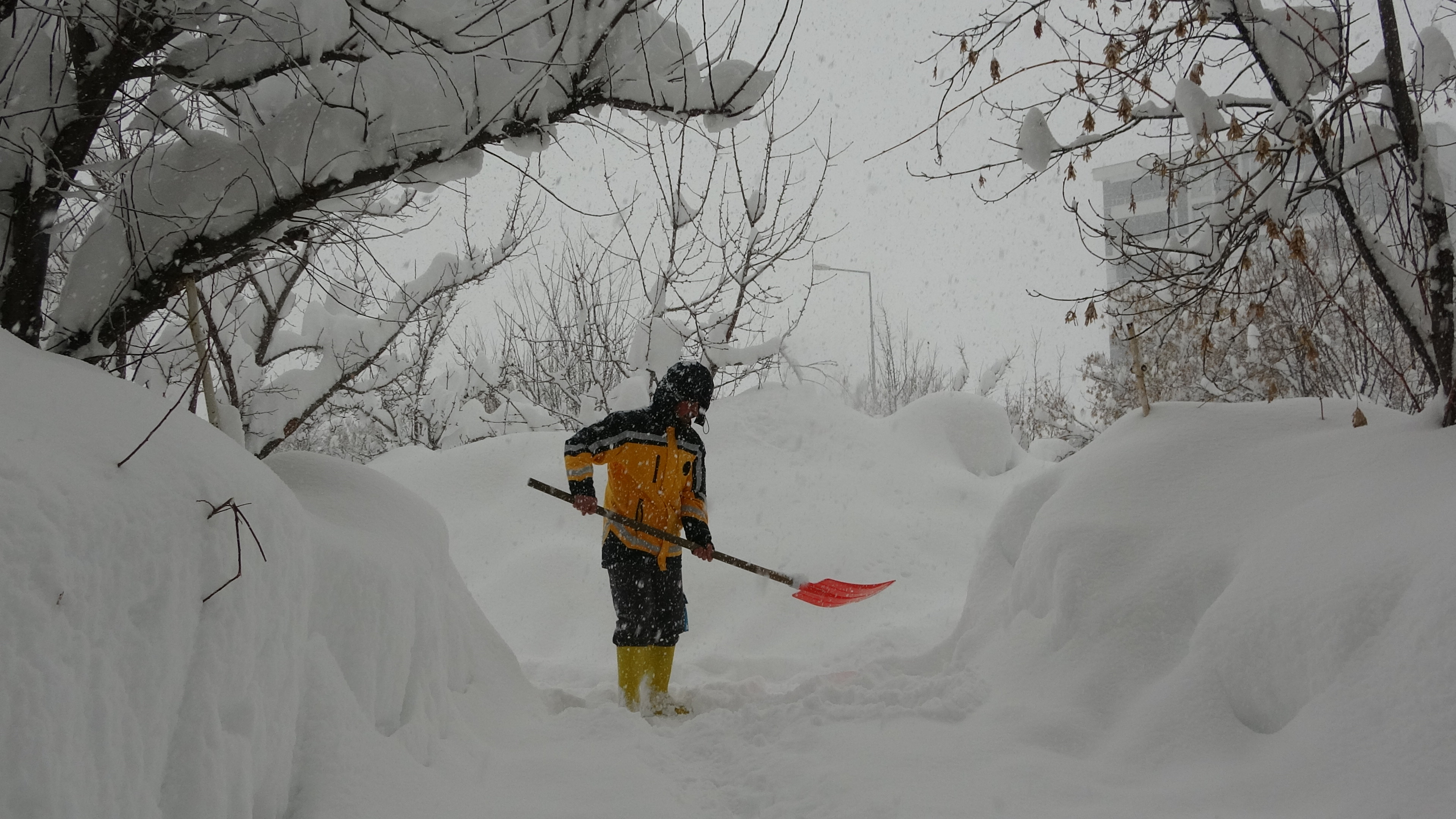 B I T L I S T E K A R D A N K A P A N A N 197 Y E R L E S I M Y E 1128386 334989