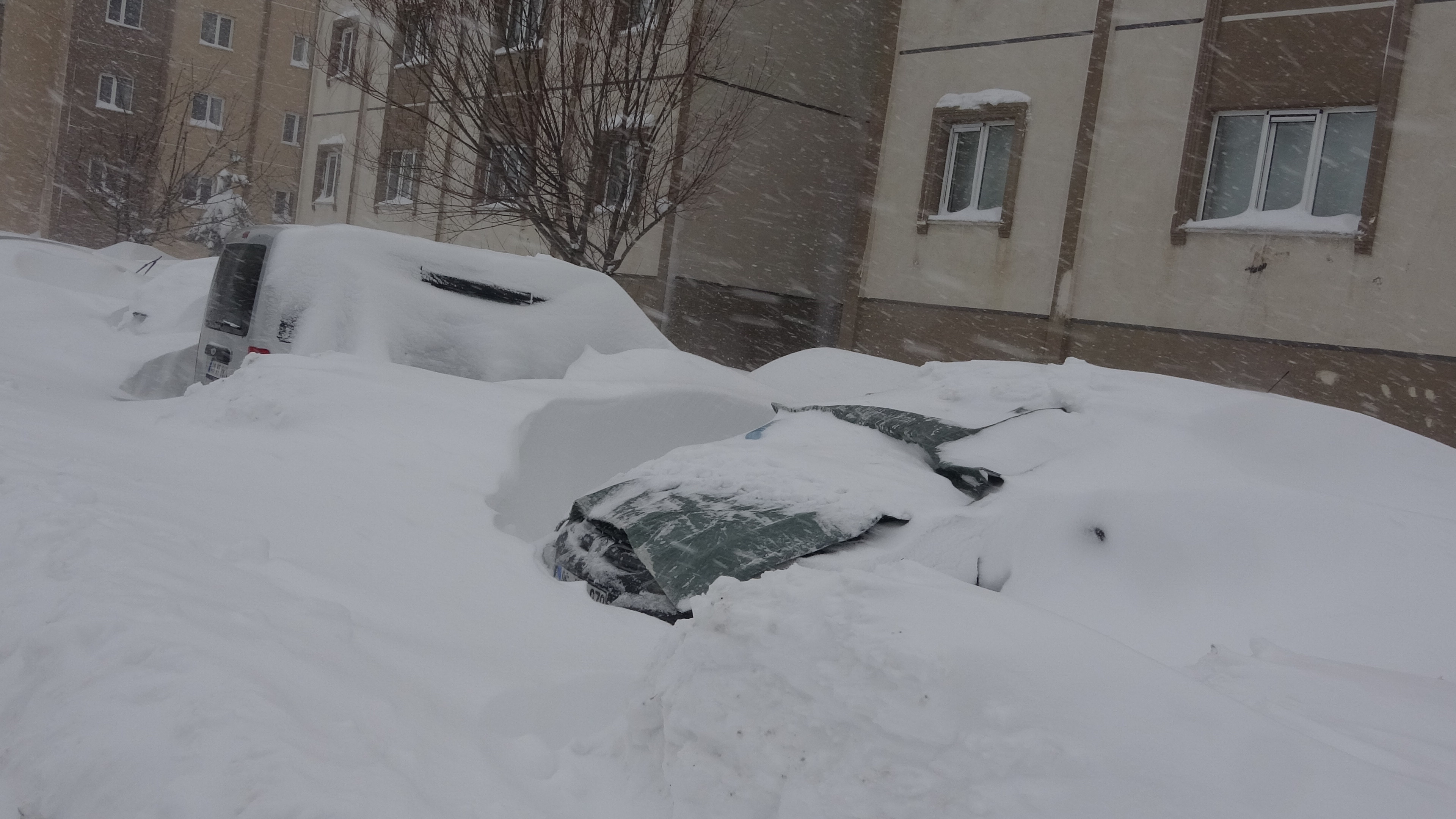 B I T L I S’ T E K A R H A Y A T I D U R M A N O K T A S I N A G E T 1091933 324138