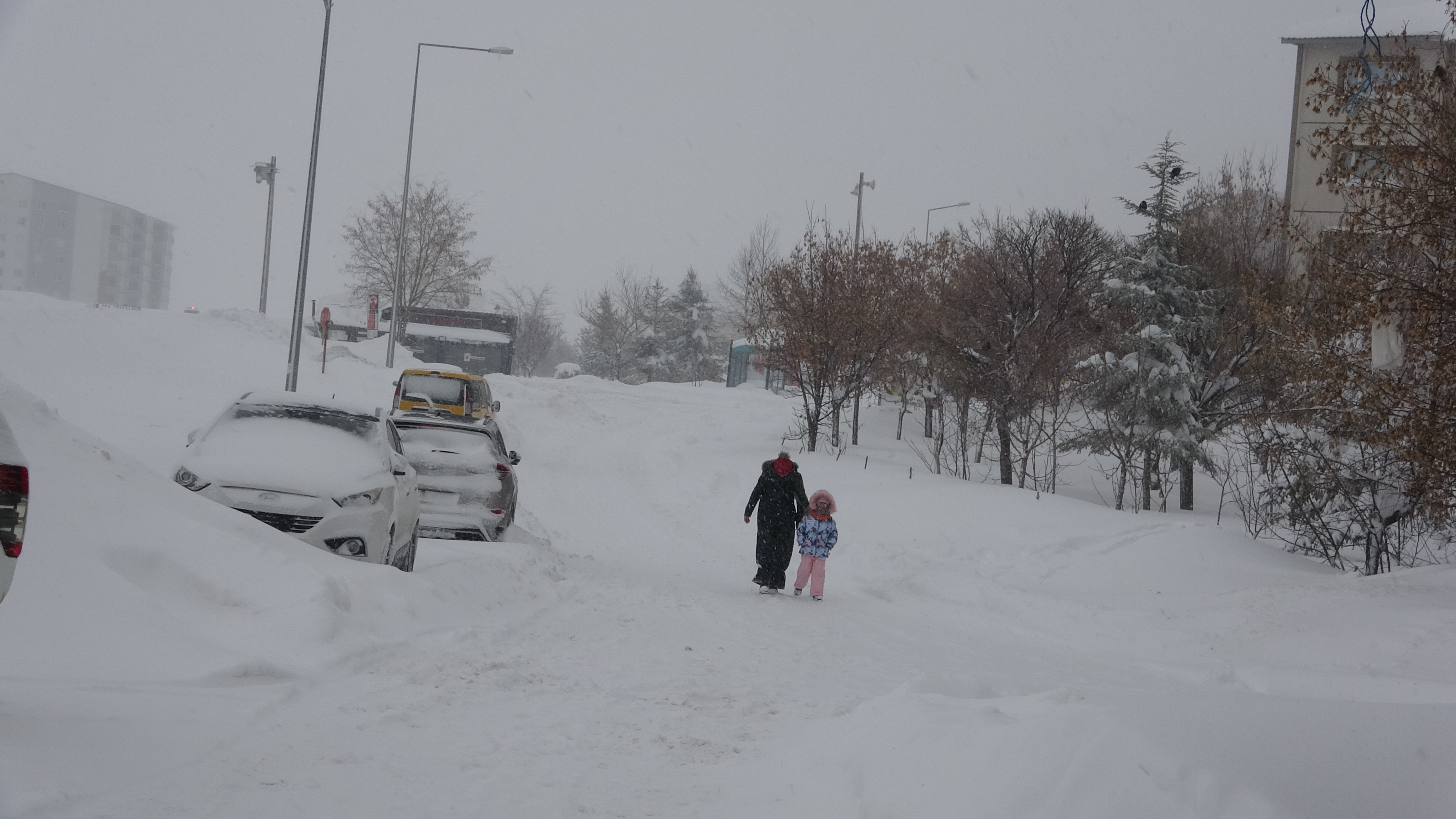 B I T L I S’ T E K A R H A Y A T I D U R M A N O K T A S I N A G E T 1091941 324138