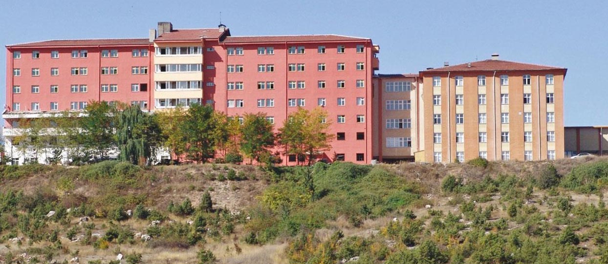 B O L U’ D A D E P R E M E D A Y A N I K S I Z O L D U G U B E L I R L 1114658 330907