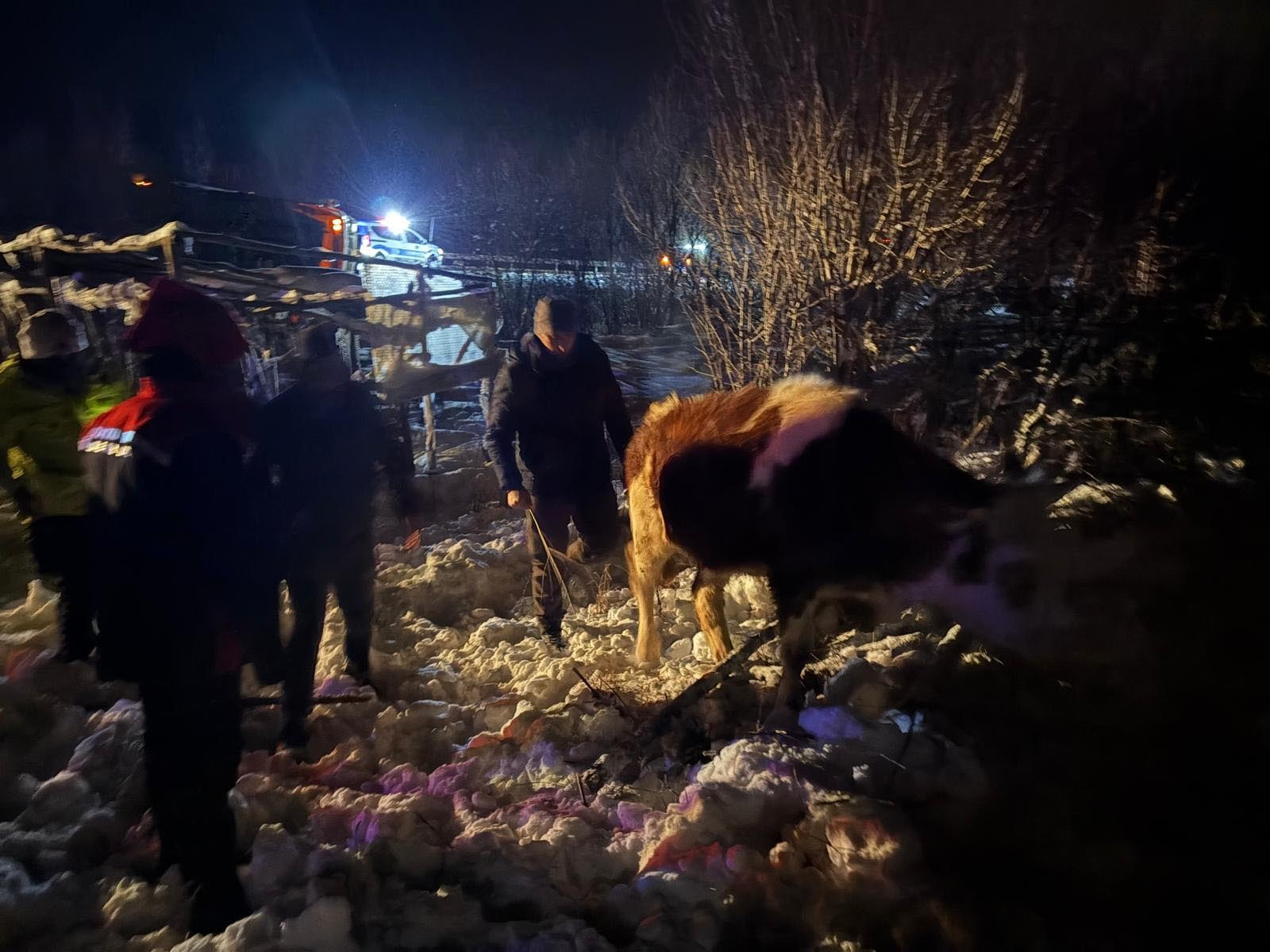 B U Y U K B A S Y U K L U T I R S A R A M P O L E D E V R I L D I 1117587 331846