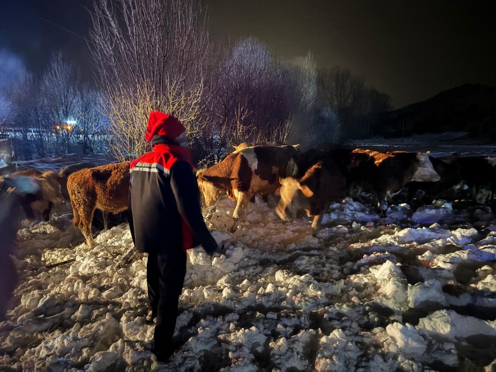 B U Y U K B A S Y U K L U T I R S A R A M P O L E D E V R I L D I 1117591 331846