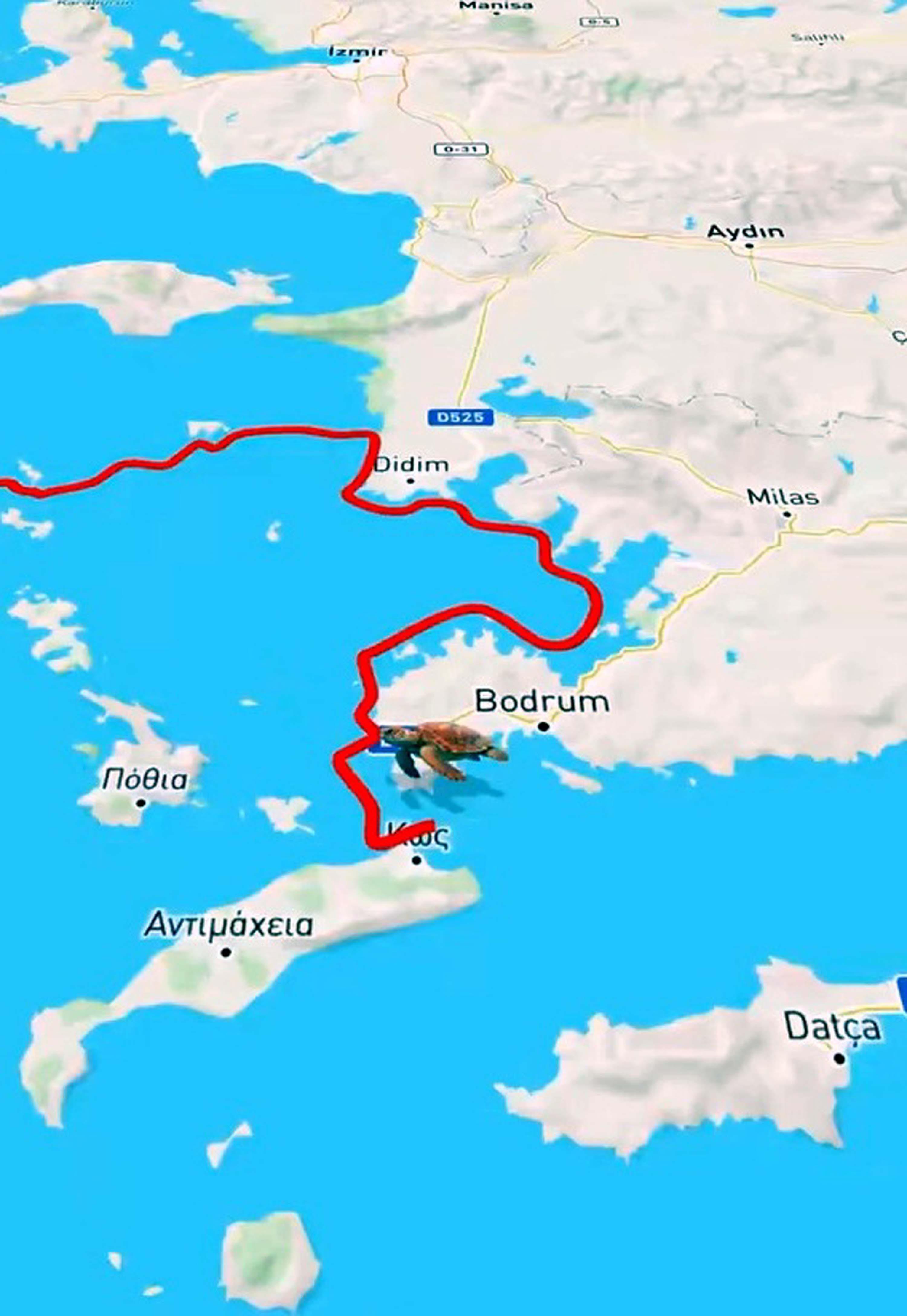 C A R E T T A C A R E T T A T U B A 5 A Y D A 10 B I N K I 1107511 328815