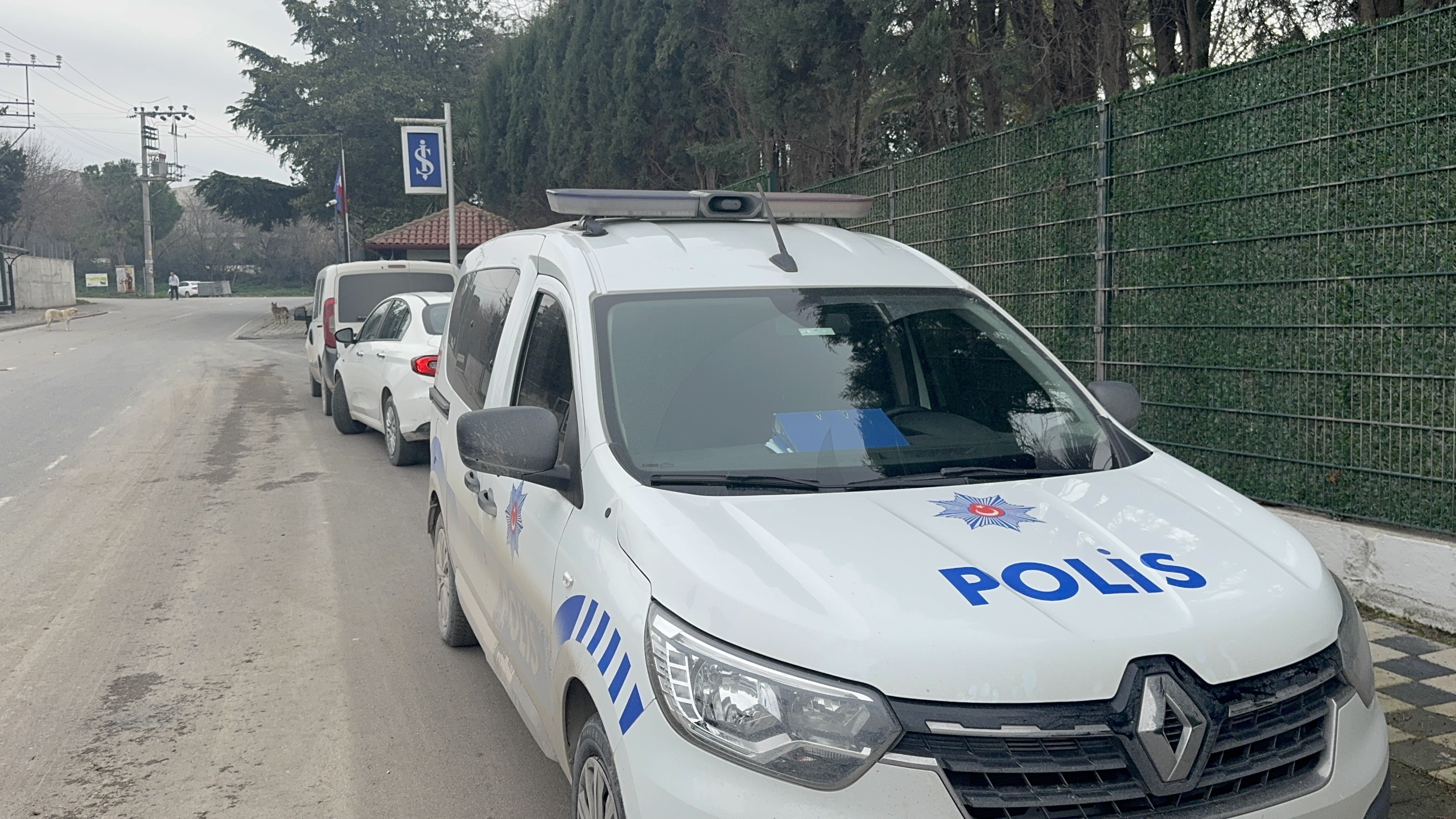 D E N I Z D E E R K E K C E S E D I B U L U N D U 1135472 337085