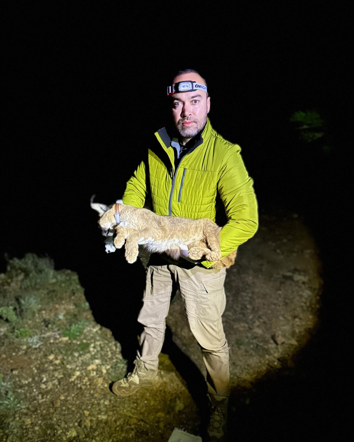 D R. I L E M I N K A R A K U L A K T U R U N U A K D E N I Z E K O 1116632 331531