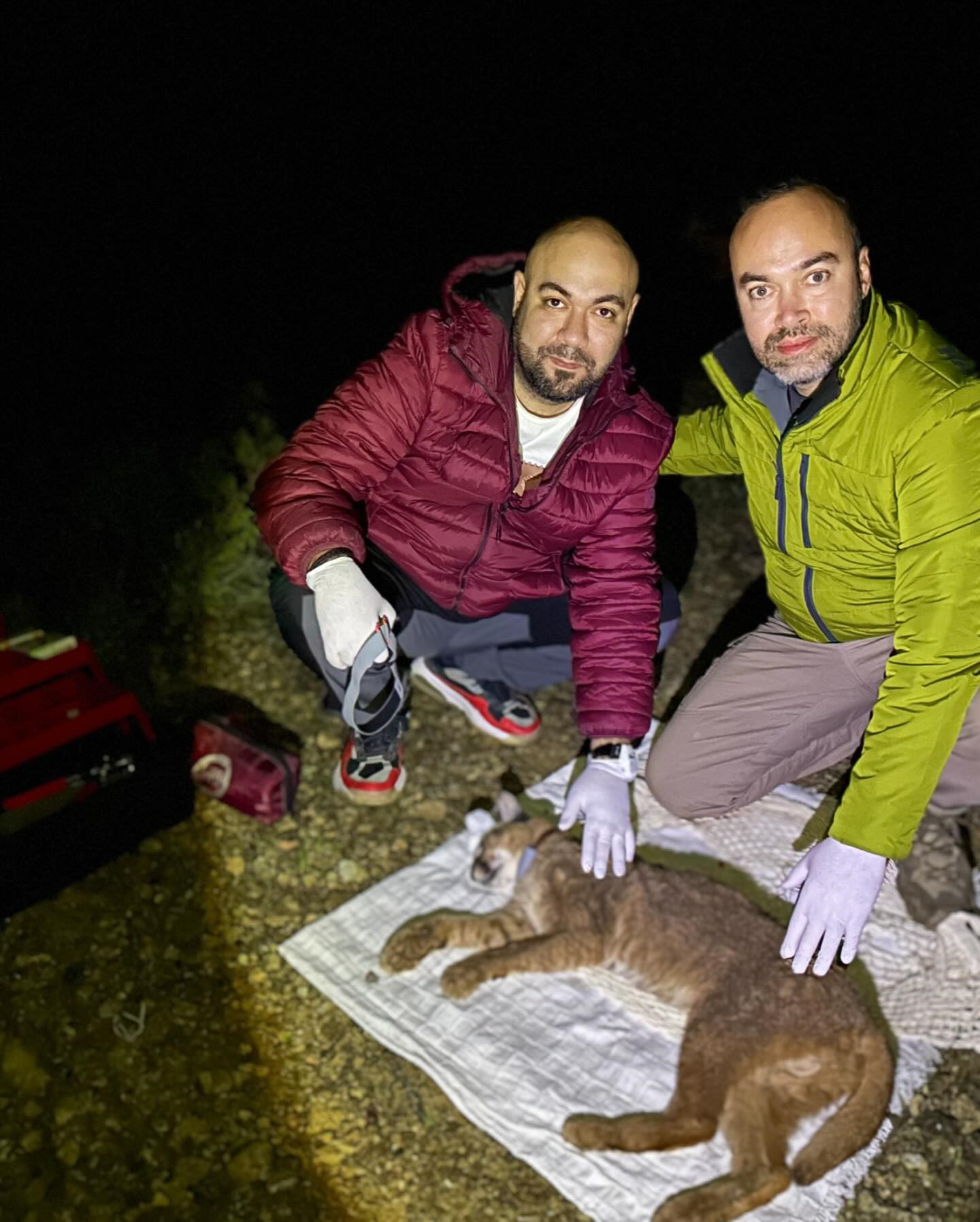 D R. I L E M I N K A R A K U L A K T U R U N U A K D E N I Z E K O 1116633 331531