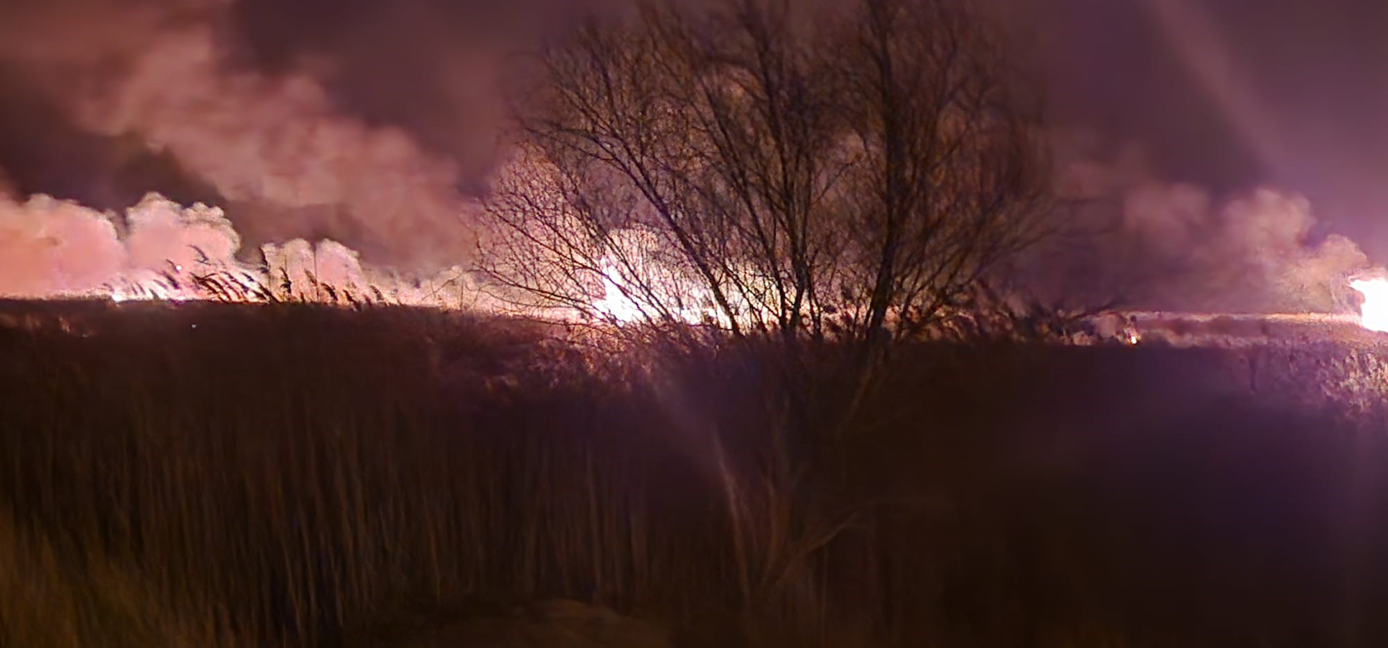 E B E R G O L U N D E 5 F A R K L I N O K T A D A Y A N G I N C I 1103390 327555