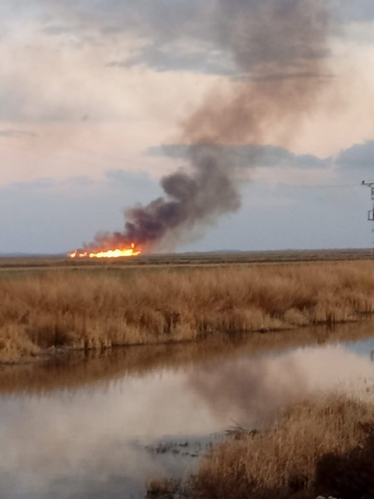 E B E R G O L U N D E 5 F A R K L I N O K T A D A Y A N G I N C I 1103392 327555