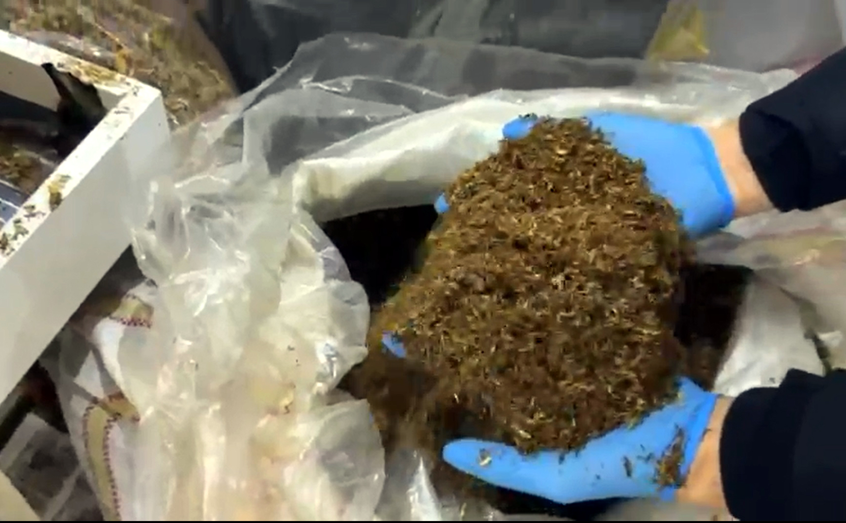 E D I R N E D E K A C A K T U T U N O P E R A S Y O N U 4 G O Z A 1125510 334023